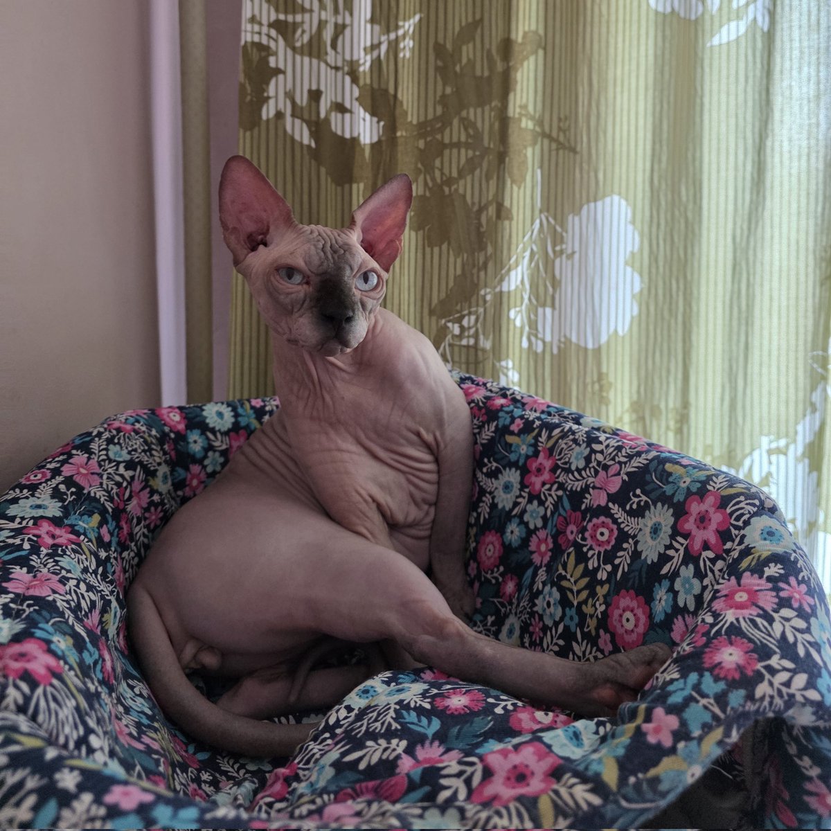 Я думаю, вы сами знаете, какая тут нужна подпись😂