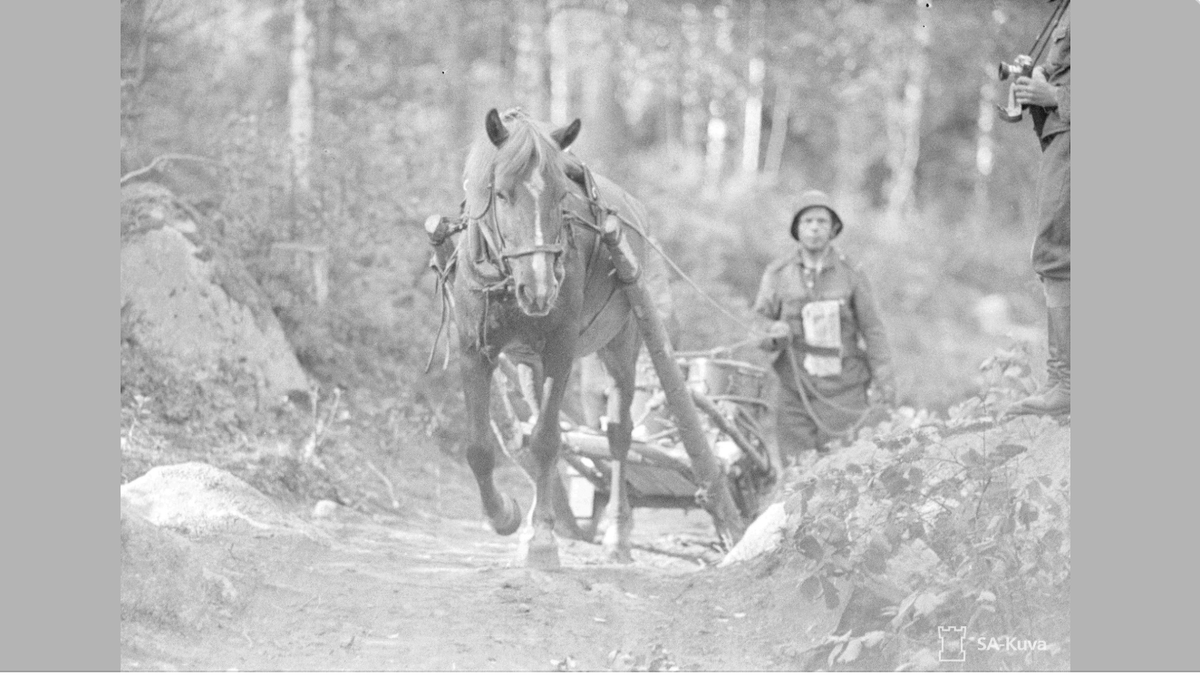 I vinter- o fortsättningskriget stupade el försvann 22 000 hästar.Många av dem var älskade familjemedlemmar.
Hästarna transporterade kanoner, ammunition, proviant, trupper, sårade och stupade. Vi hade aldrig klarat kriget utan dem.
Idag firas denna pålles dag. Tack finska hästen.