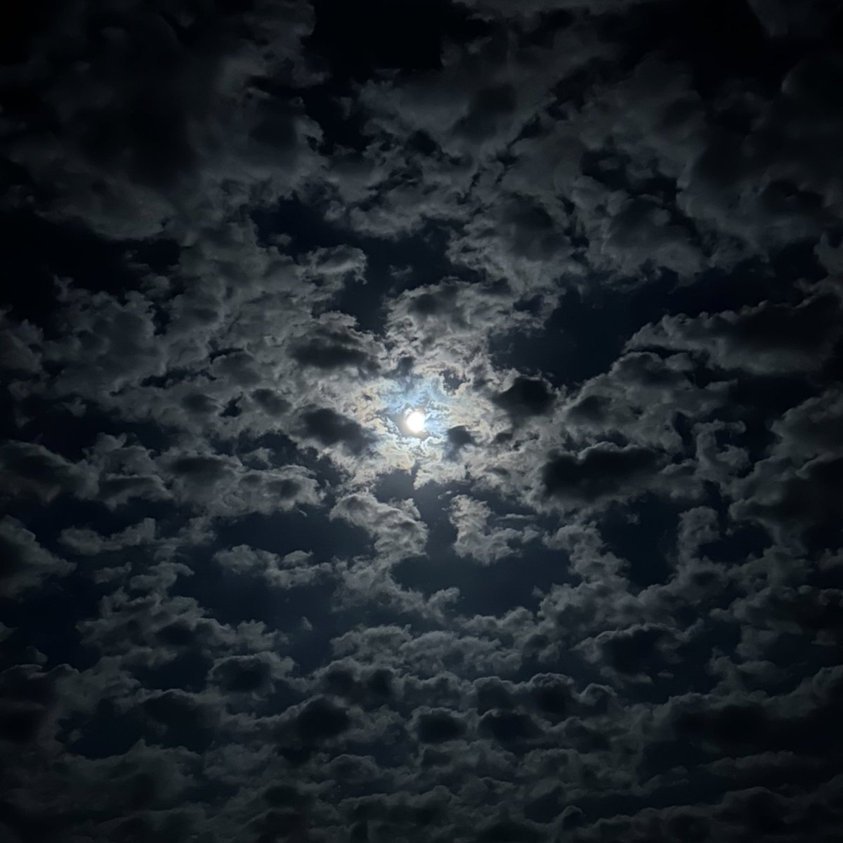 帰省中〰️お空って♾色あんねん🫶