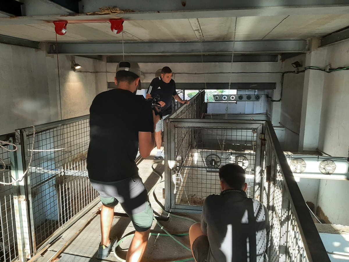 Detras de #LaPlaça de <a href="/apunt_media/">À Punt</a> hay un gran equipo de profesionales encabezado por <a href="/JorgeCasals/">Jorge Casals</a> y la colaboracion en la Produccion de <a href="/VICENTENOGUEROL/">VICENTE NOGUEROLES</a> creador de los primeros documentales del Festejo Popular conocidos como #toroenlapiel de #CanalToros

#Som