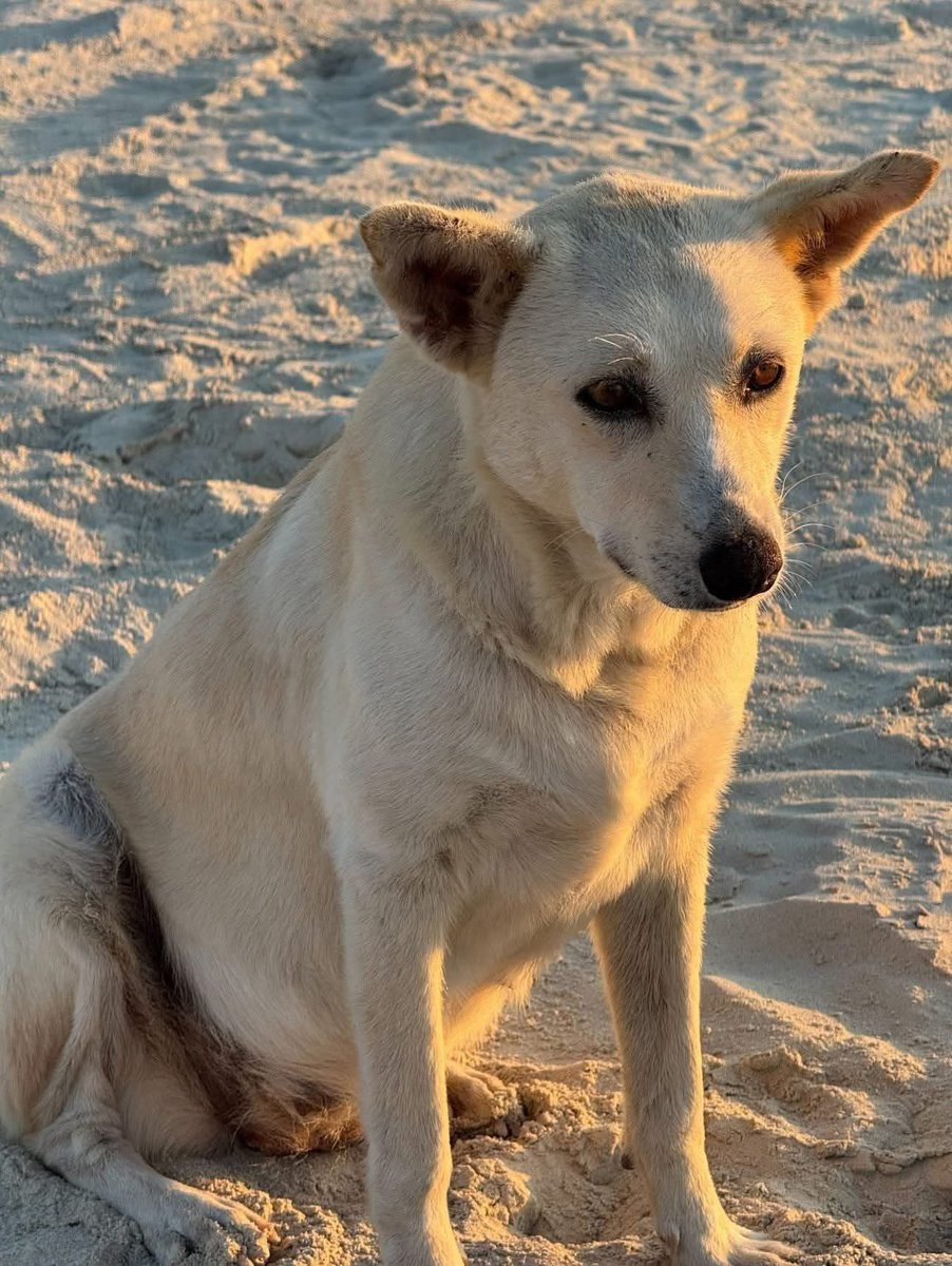 "ولك مثل ما فعلت ولو بعد حين " 
مخيفة جدا للبعض
و مريحة جدا للبعض الأخر