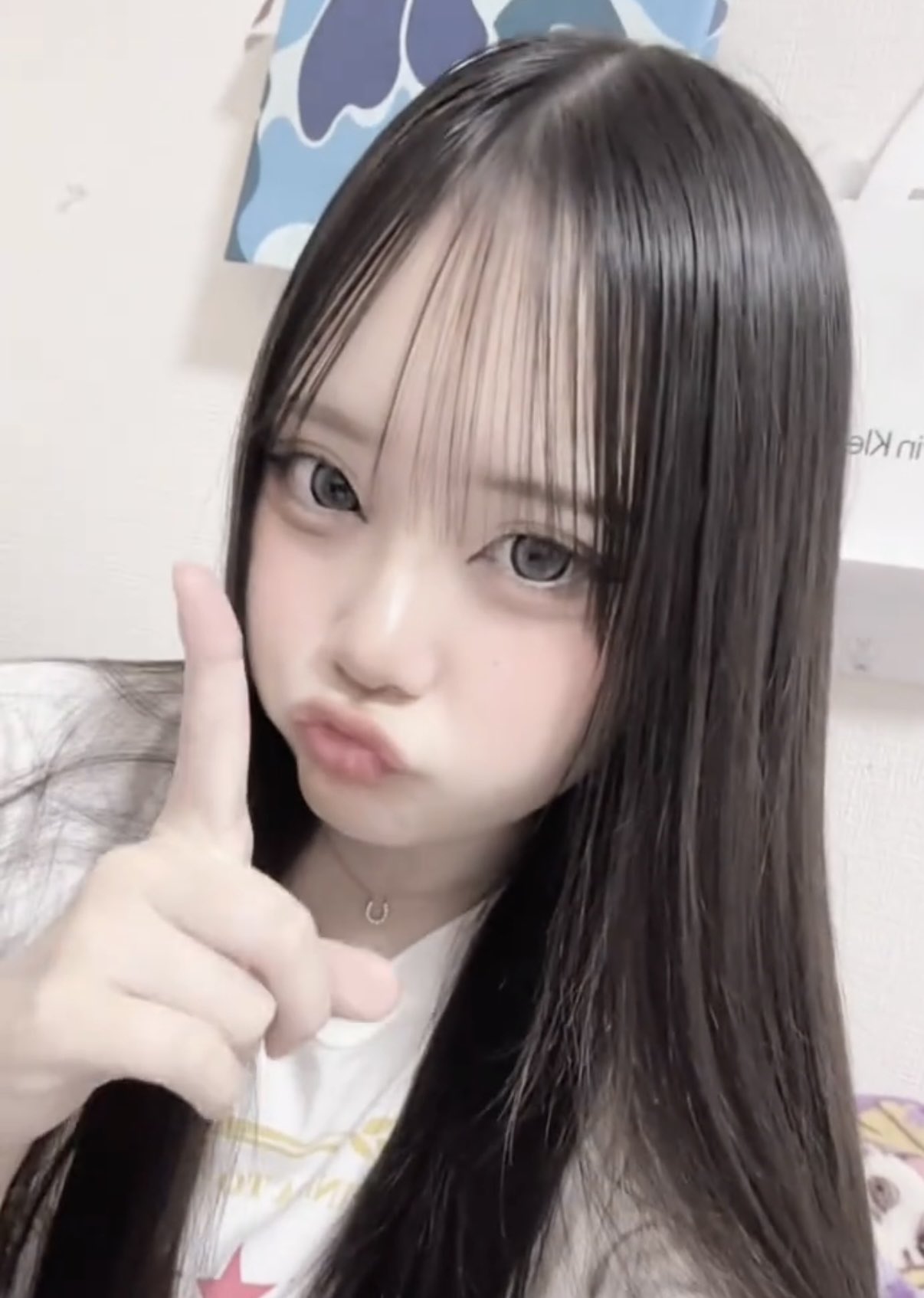 ✨りん 🐈‍⬛🎀🐻‍❄️❄️🤍