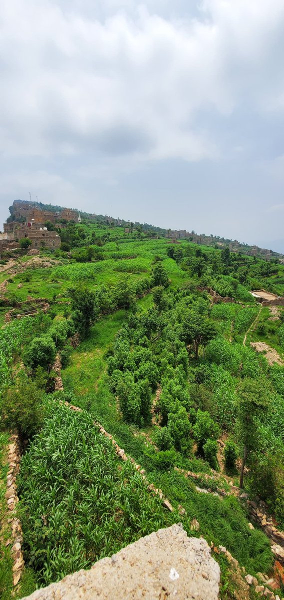 فاليُسرُ آتٍ والهمومُ ستنجلي
 والعُسرُ فينا ليسَ إلّا مرحلة