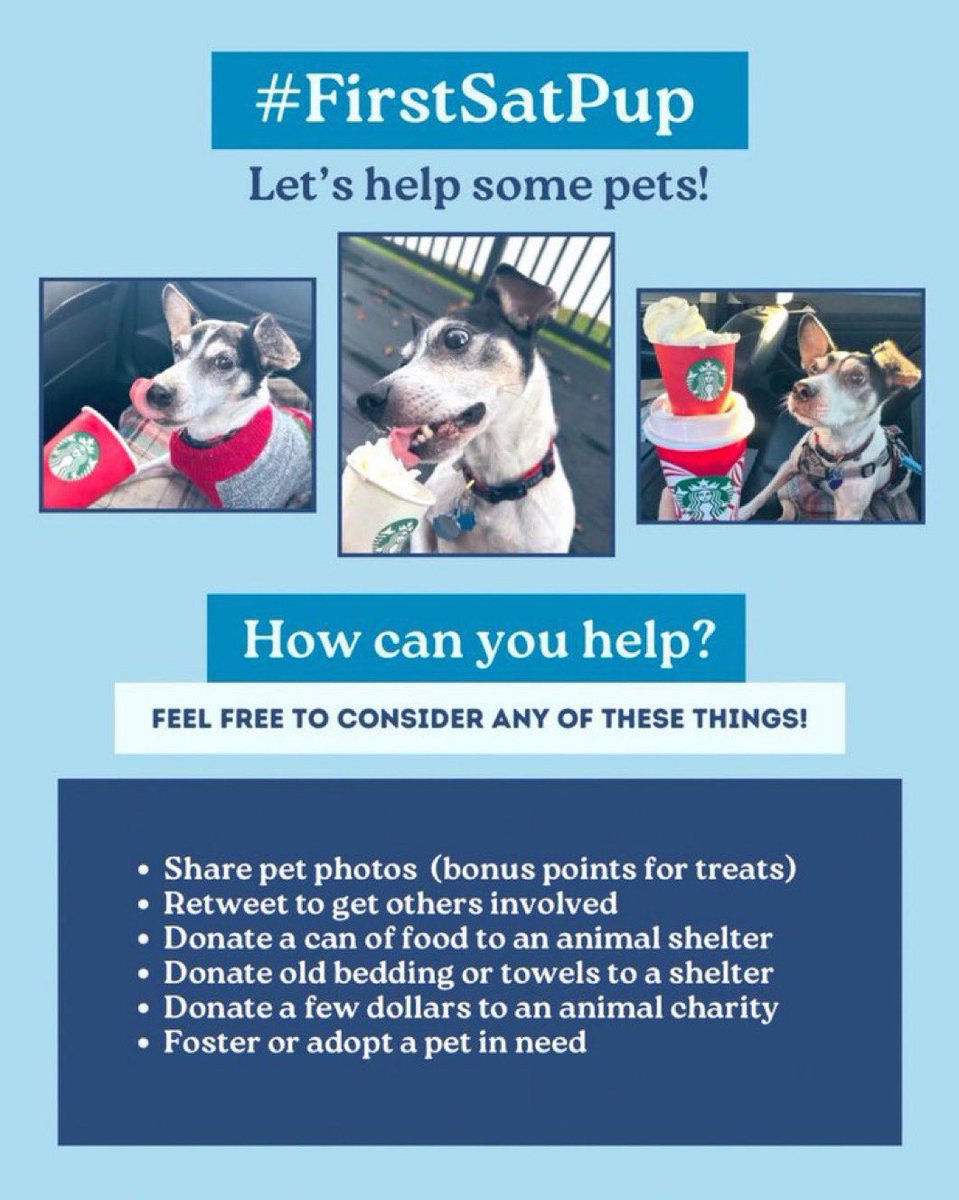 It’s the first Saturday in September, so it’s time for #FirstSatPup. Please help some pets if you can! Orville was a rescue pooch who loved his #SaturdayPuppuccino more than anything on earth. Let’s treat some other pets. And share your memories with everyone. 💙