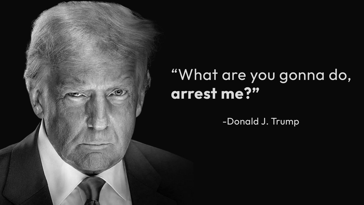 「どうするんだ、逮捕するのか？」という引用が入ったドナルド・トランプのミーム
