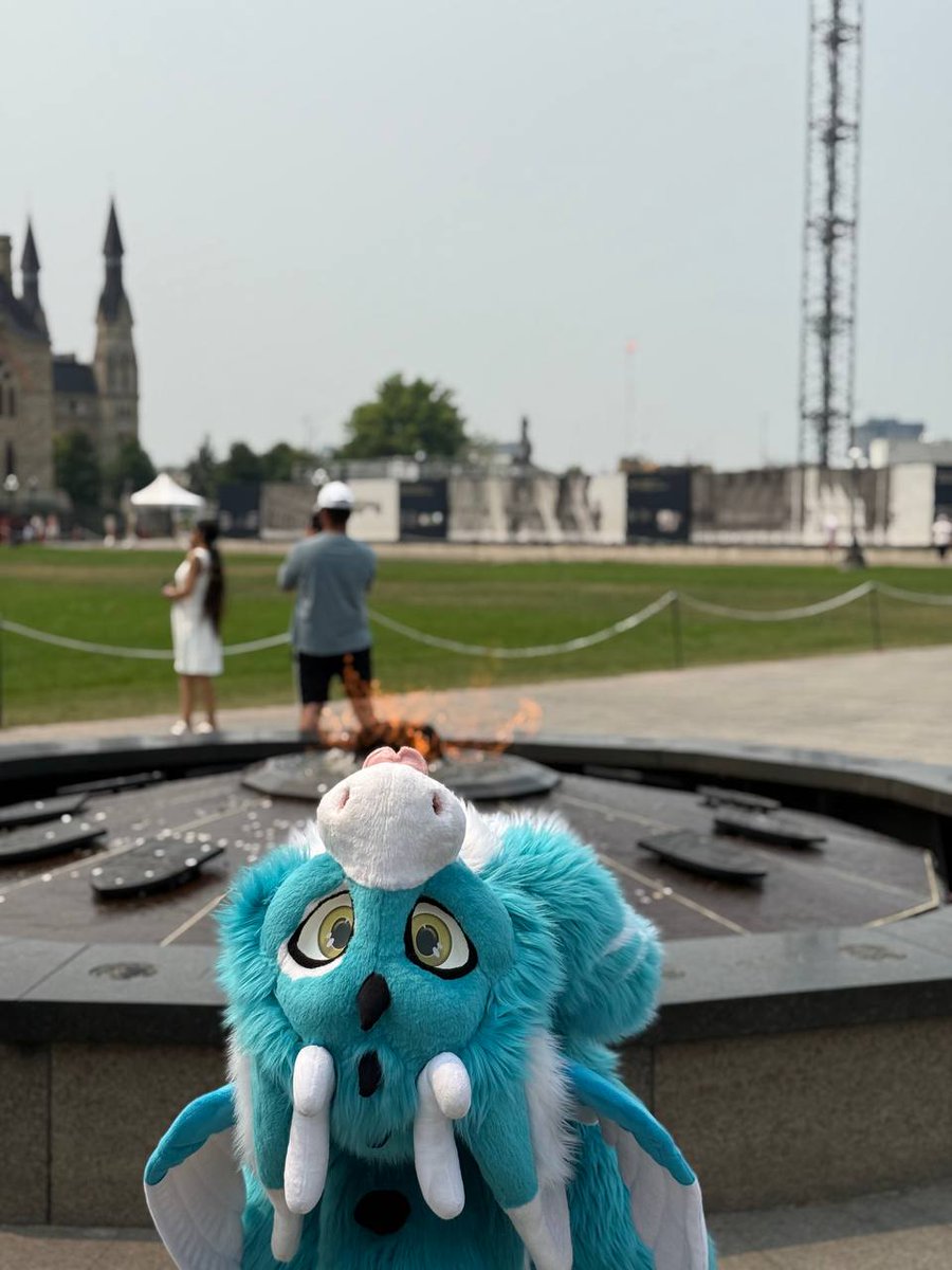 Canelle (@canelle_potato) on Twitter photo Upside down derg.
#fursuit Upside down derg.
#fursuit