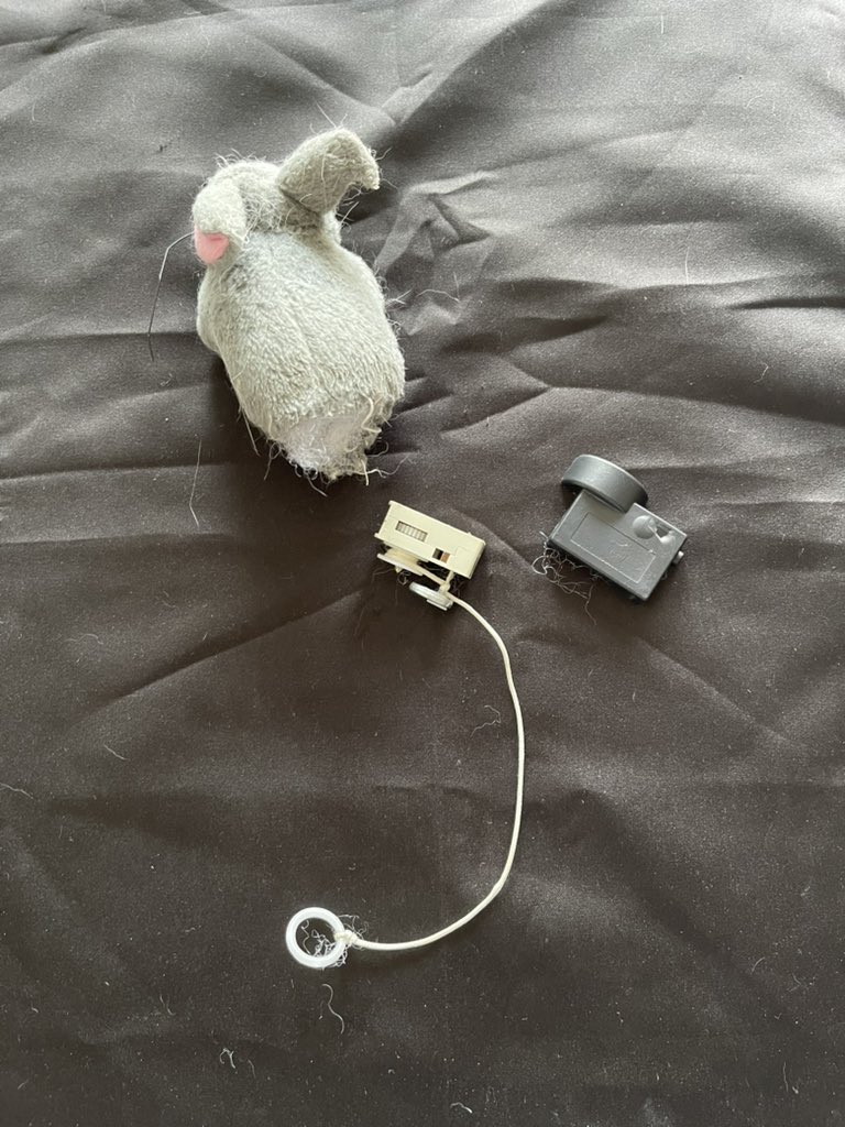 Joi rompió mi latonshito bivrador 😔