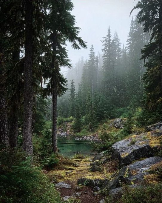 Image via: my green dream