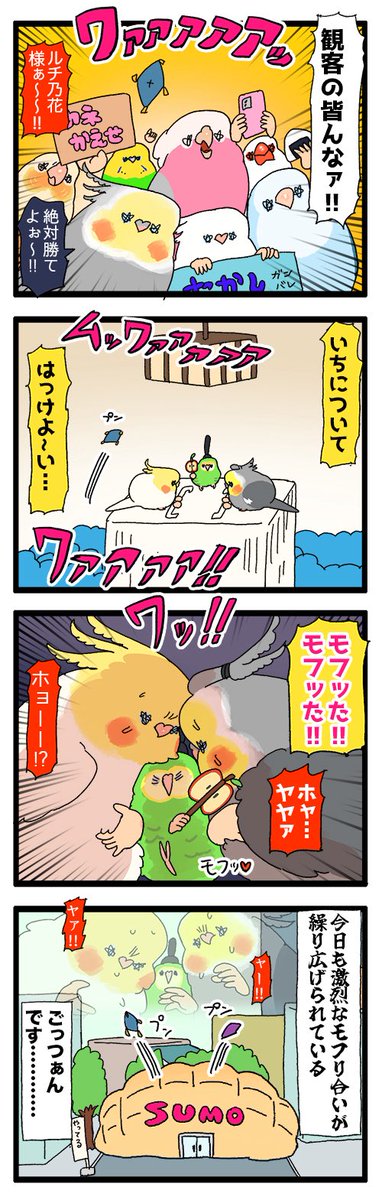 【羽やすめ漫画】リョーゴクシティにおでぶな鳥さん達の相撲屋さんがオープンしたんだって✋🦜🤚

62 #えるポピの羽休め漫画