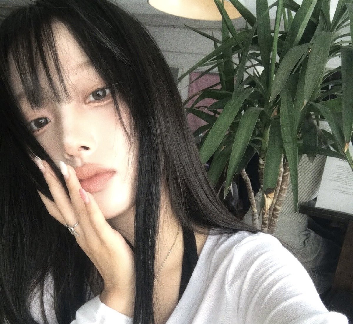 밤 tweet media
