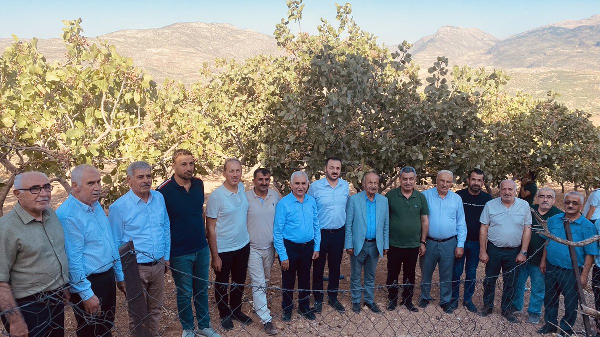Ömer ÖZER (@omerozer56) on Twitter photo AK Parti Heyeti Tosuntarla Köyünde Fıstık Hasadına Katıldı
medyasiirt.com/ak-parti-heyet…
<a href="/mervangul56/">Mervan Gül</a> <a href="/AvCanerOzturan/">Av. Bahri Caner ÖZTURAN</a> <a href="/focalapkulu/">Fuat Özgür Çalapkulu</a> <a href="/msefikerden/">Mehmet Şefik Erden</a> <a href="/mahirozhan/">Doç. Dr.Mahir ÖZHAN</a> <a href="/AkPartiSiirt/">AK Parti Siirt</a> <a href="/turankoyuncu56/">Turhan Koyuncu - GGC Siirt Temsilcisi</a> <a href="/MedyaSiirt/">Medya Siirt</a> <a href="/sylmaz56/">selçuk yılmaz</a> AK Parti Heyeti Tosuntarla Köyünde Fıstık Hasadına Katıldı
medyasiirt.com/ak-parti-heyet…
<a href="/mervangul56/">Mervan Gül</a> <a href="/AvCanerOzturan/">Av. Bahri Caner ÖZTURAN</a> <a href="/focalapkulu/">Fuat Özgür Çalapkulu</a> <a href="/msefikerden/">Mehmet Şefik Erden</a> <a href="/mahirozhan/">Doç. Dr.Mahir ÖZHAN</a> <a href="/AkPartiSiirt/">AK Parti Siirt</a> <a href="/turankoyuncu56/">Turhan Koyuncu - GGC Siirt Temsilcisi</a> <a href="/MedyaSiirt/">Medya Siirt</a> <a href="/sylmaz56/">selçuk yılmaz</a>
