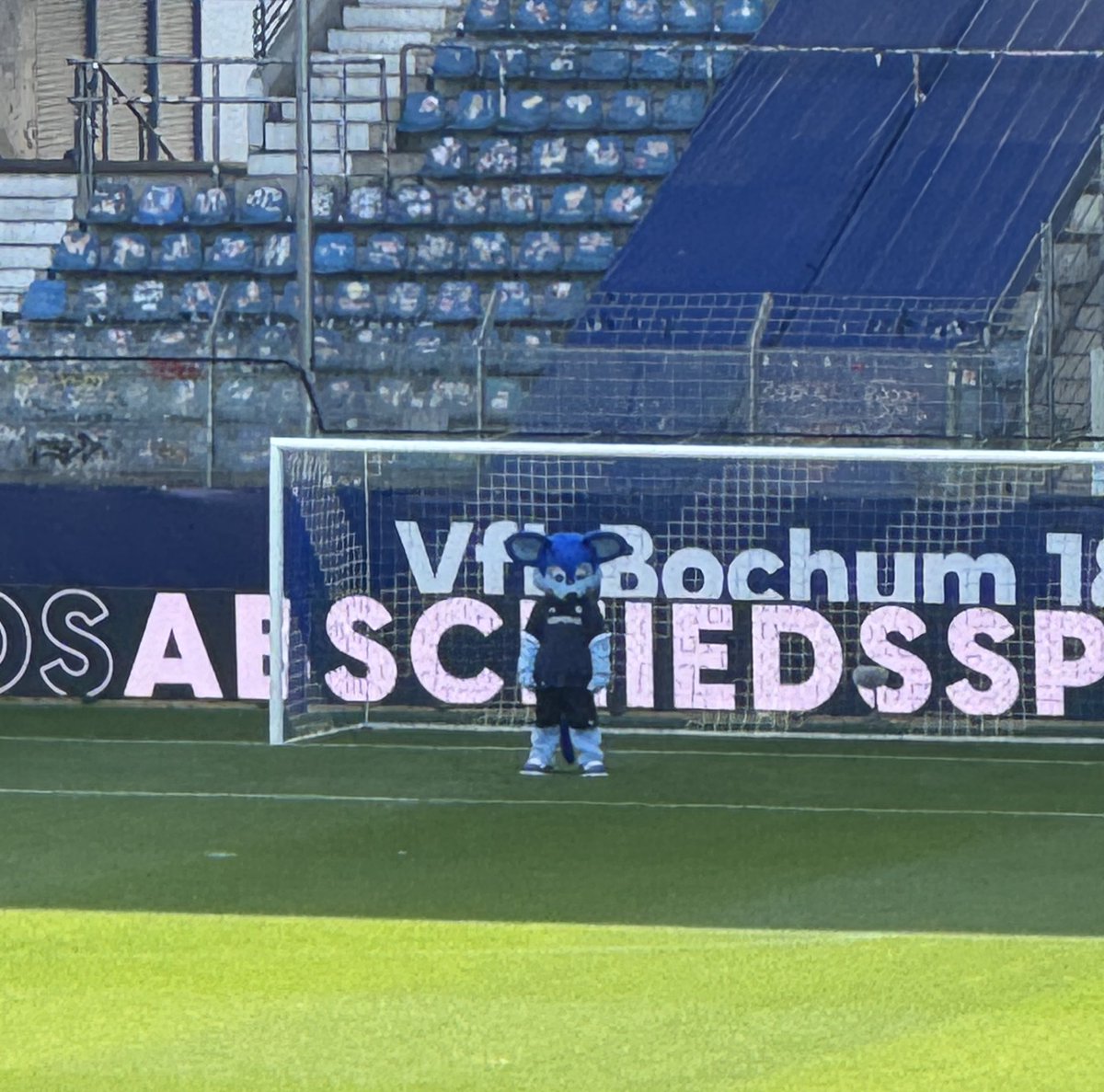 ich, wie ich auf bochum sieg warte #meinVfL