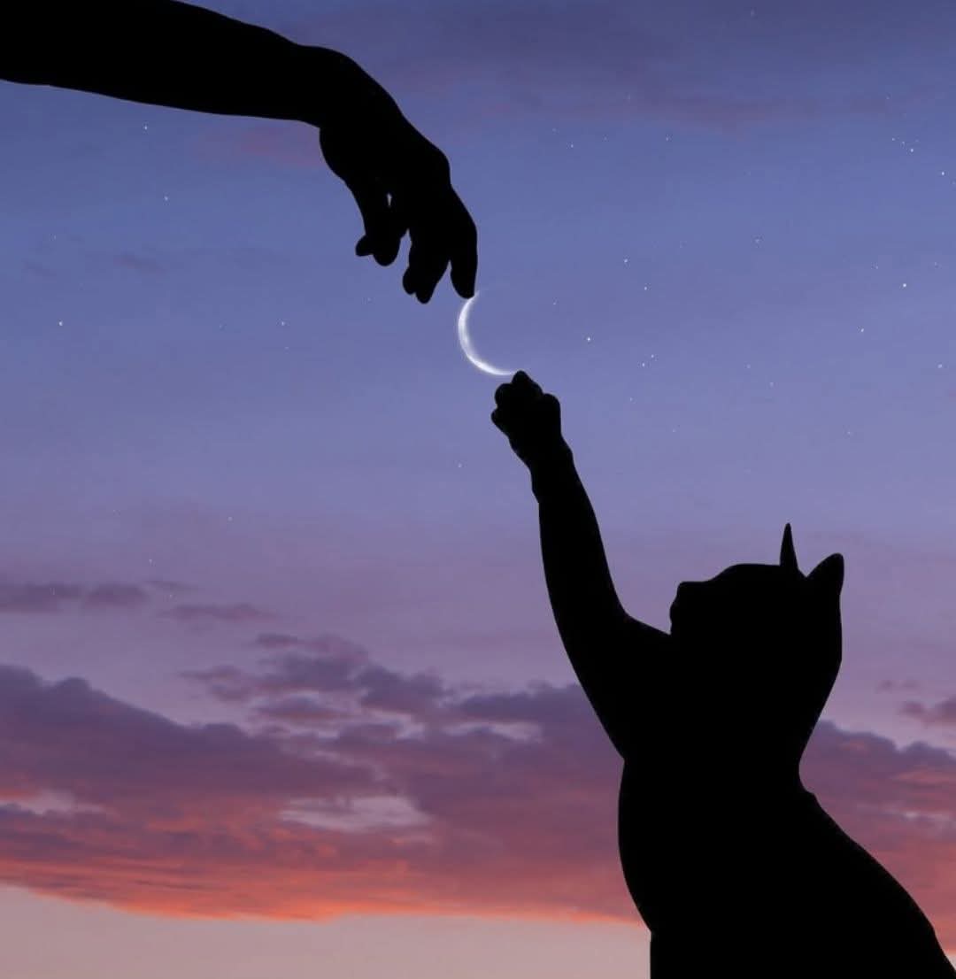 Mutlu Akşamlar❤️
İnsan yaptıklarından değil,
Yapmadıklarından pişman olmalı,
Hayat öyle kısa ki,
yaşadığınız her anın doyasıla keyfini çıkarın...