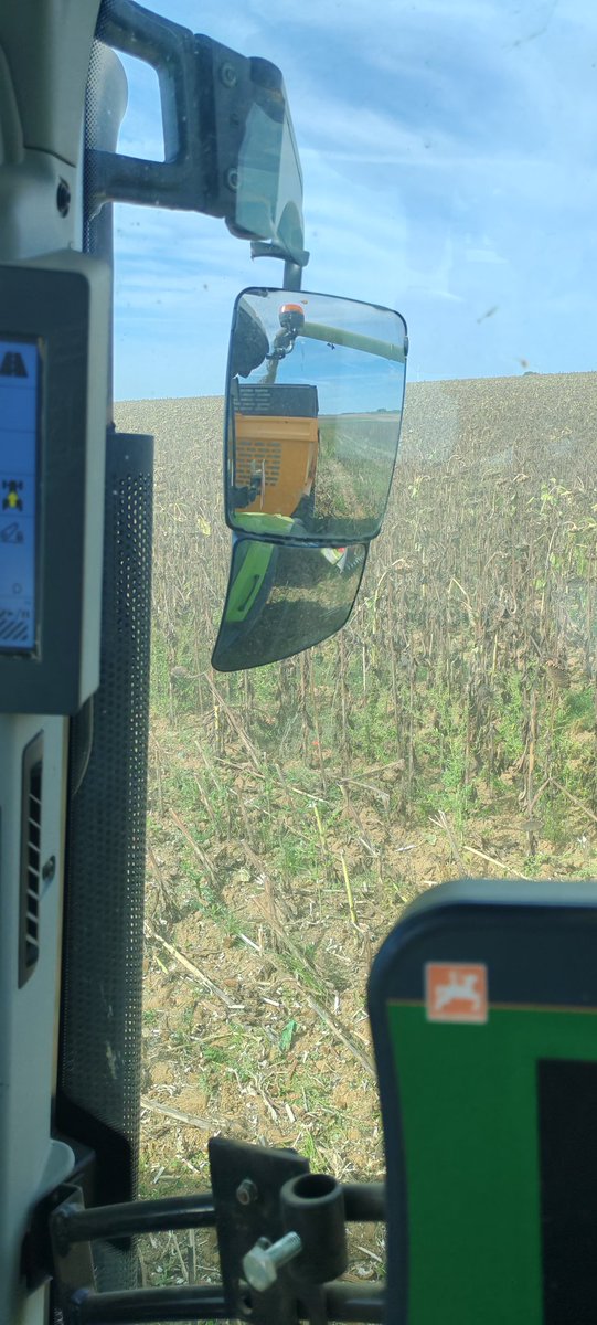 MathildeJonet's tweet image. Pendant que certains font l&apos;agriculture de comptoir pour nous expliquer comment on devrait faire et bien ici on s&apos;active avec une récolte de tournesol 🌻 #BIO sous le soleil.
Merci  @sebloriette 
#vivescia 
#mangezfrancais