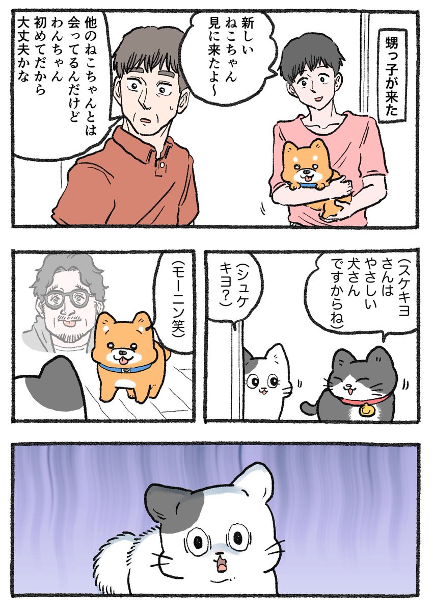 ぽこページになります。 アシトレビューティ＋ – BMZ公式