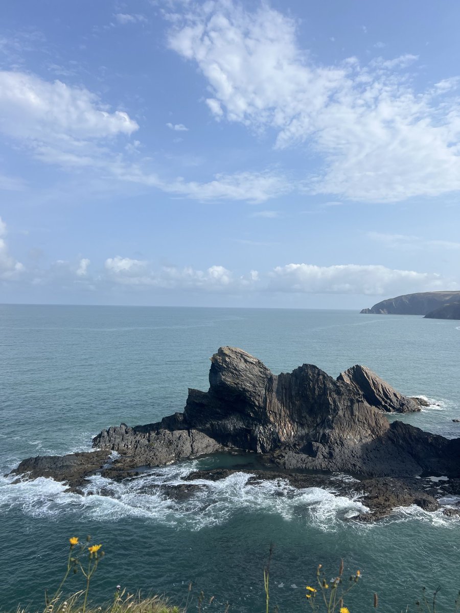 CadwCeibwr's tweet photo. Carreg Wylan and the entire Ceibwr Bay would like to thank Wild Justice and the community who pulled together, using all their resolve to bring about a win for wildlife in this very special part of the wild welsh coast. Diolch.  ⁦@WildJustice_org⁩ ⁦@ChrisGPackham⁩ https://t.co/rwH62ZbGKz