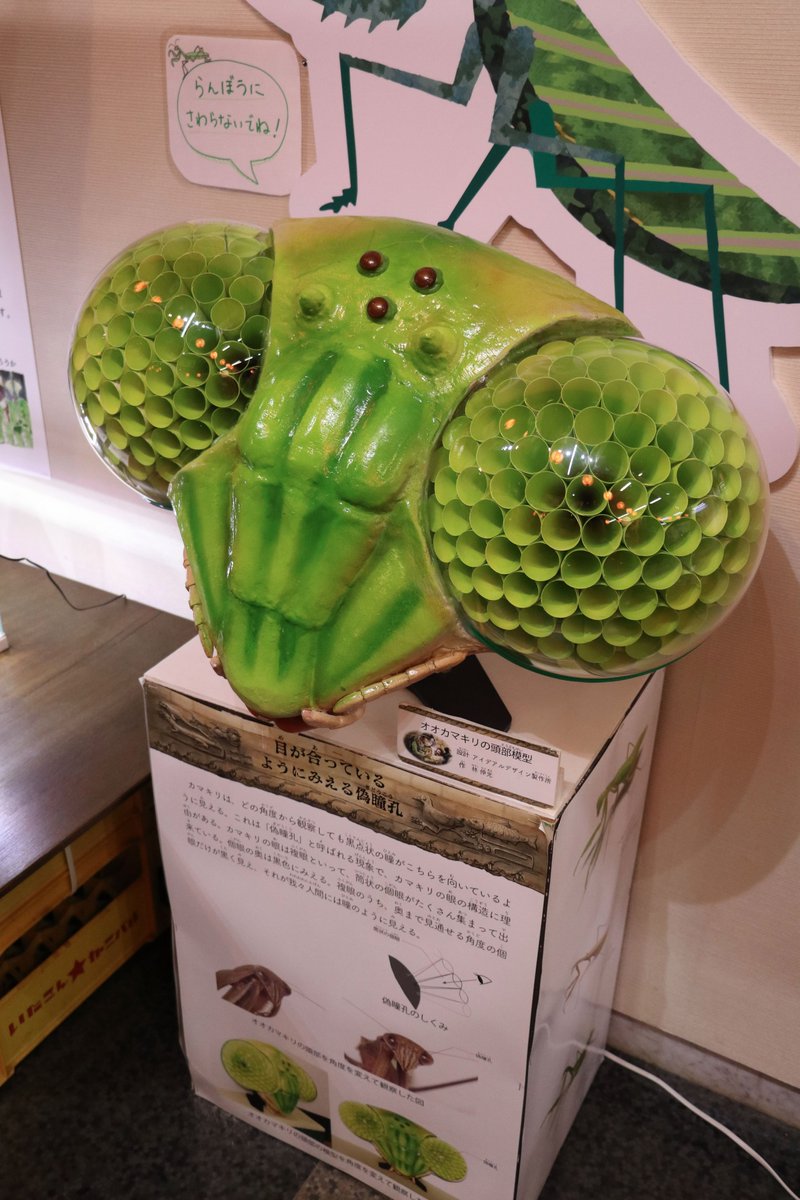 しんいちろー🦖サブアカ (@shin_ichiro2) / Posts / X