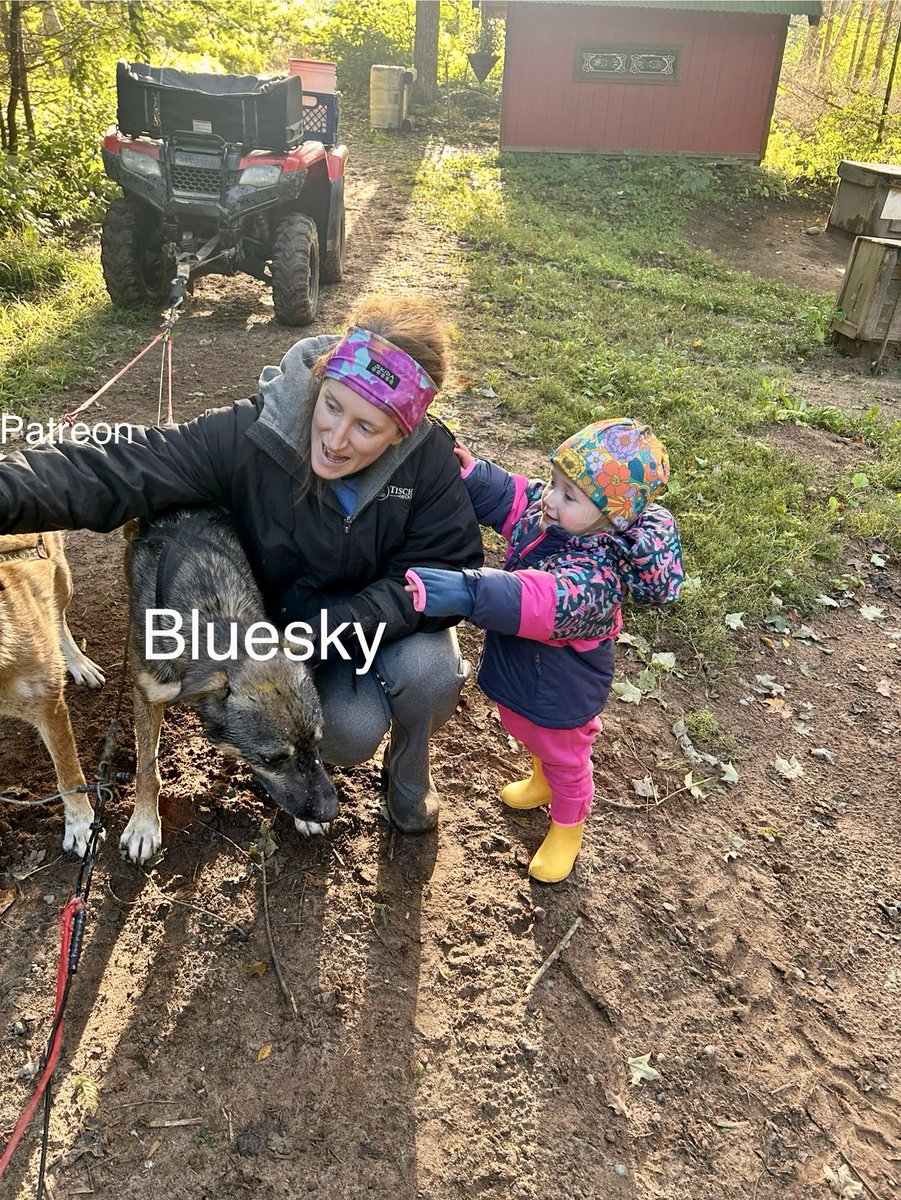 In case anyone has wondered where we have been, Leda and Flash can point you in the direction