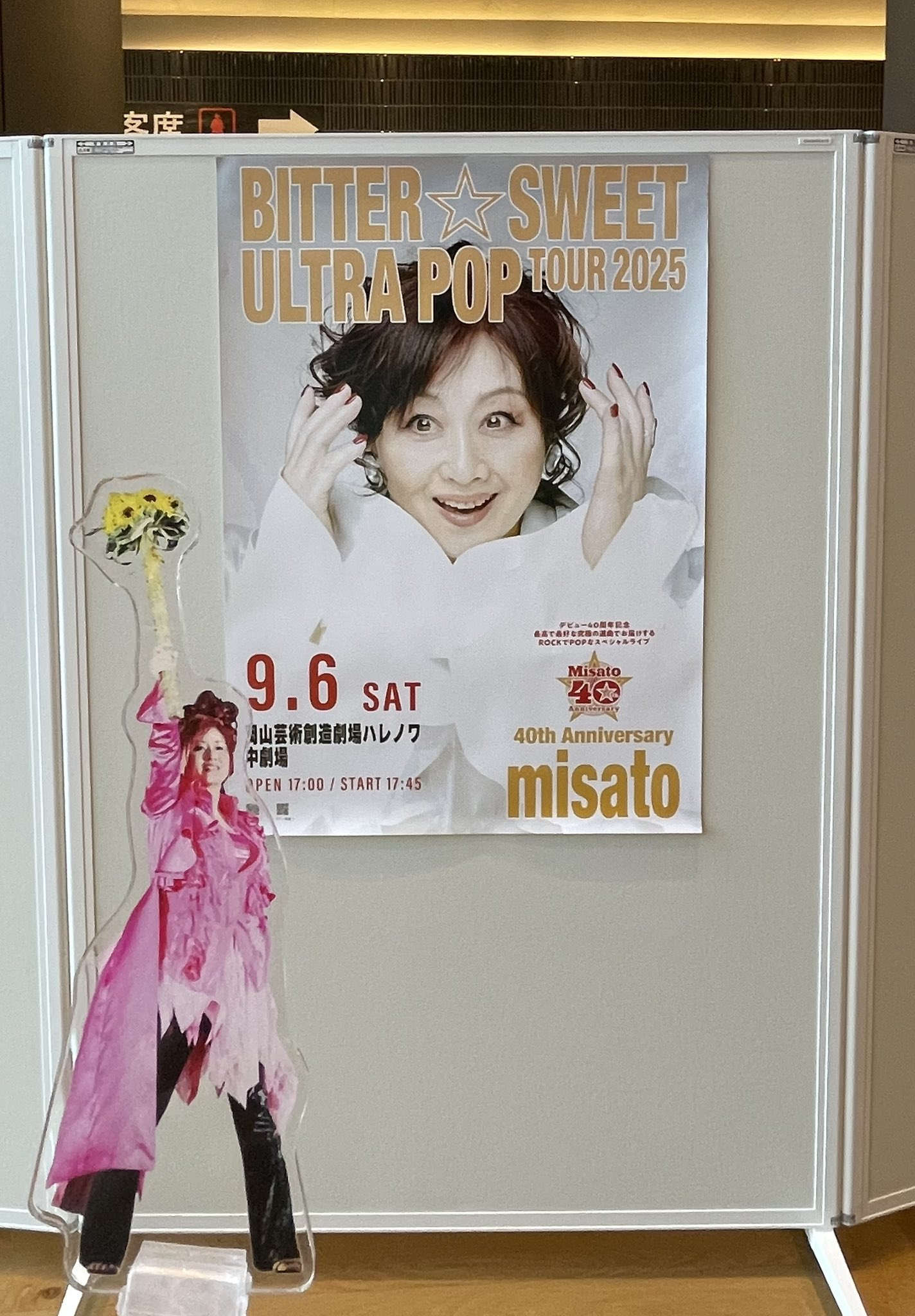 渡辺美里　ポスター　2枚　美里祭り　2006年　山中湖　アルバム　ID Amazon.co.jp: 美里祭り 2006! in 山中湖~初富士・美里・夏が来