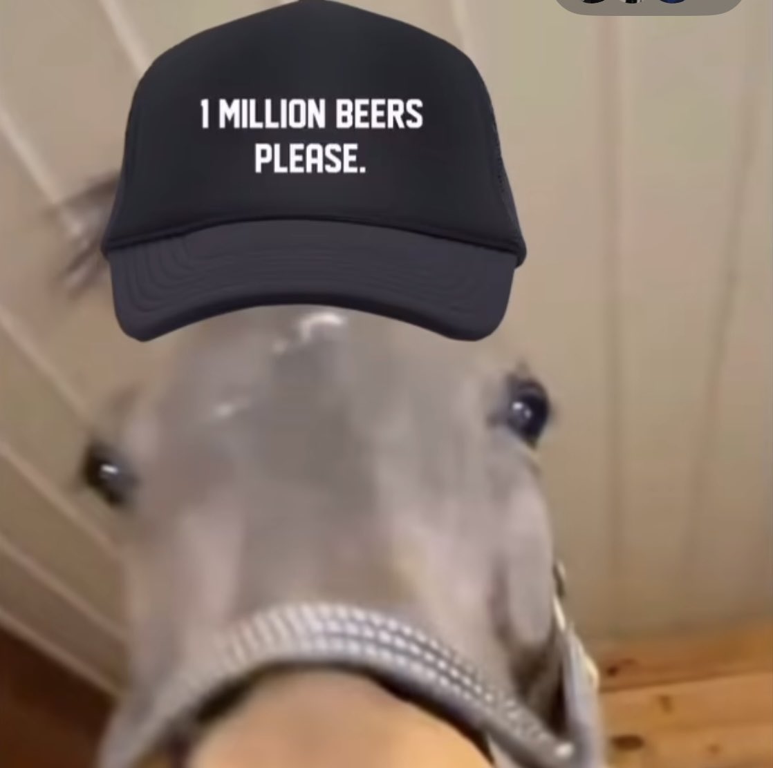 Mood today

<a href="/NoahMeag/">Noah Meagher</a>