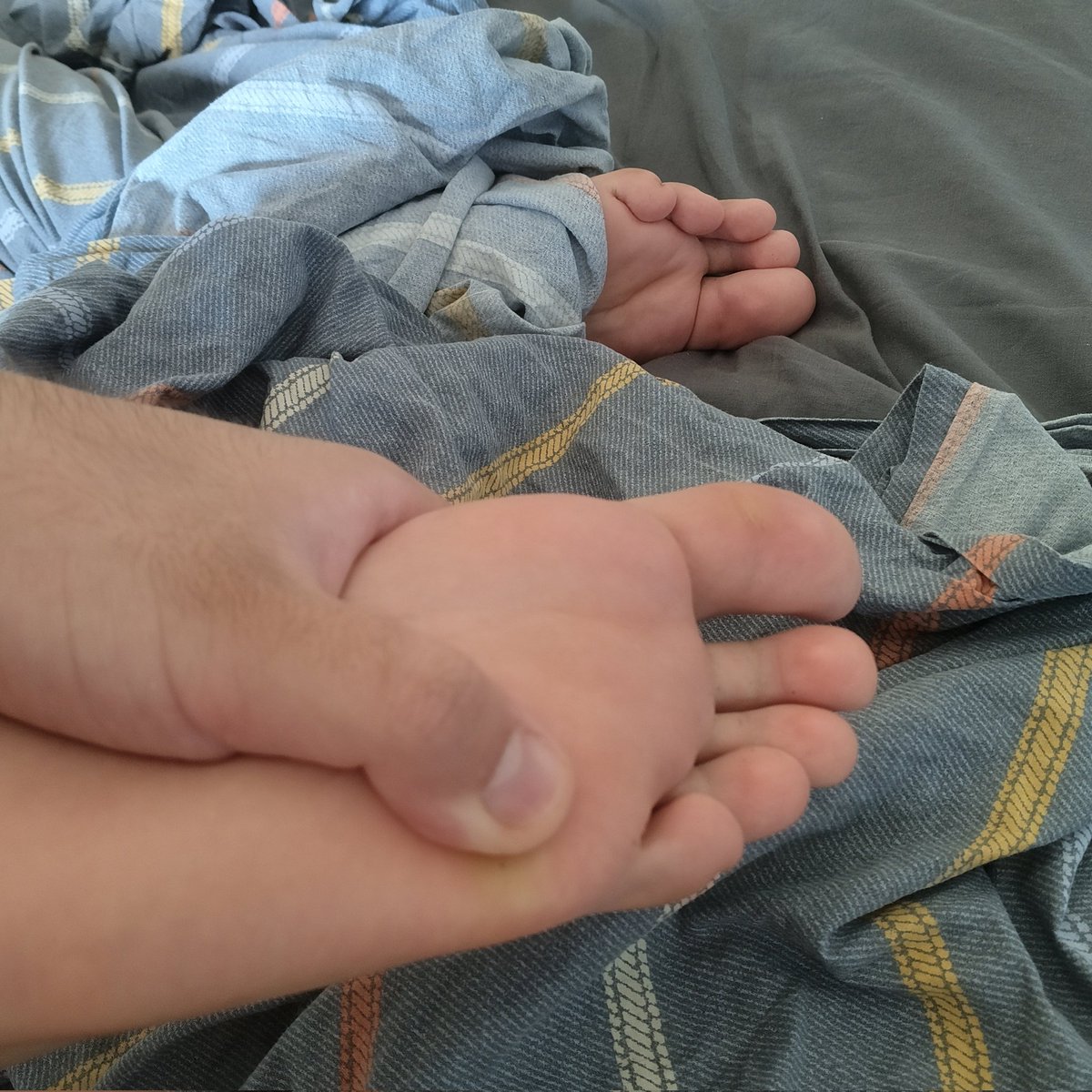 Sleepy Catboy feet alert😸☺️

Coming out of the covers to greet you😻

#feet #footfetısh #feetworshi̇p