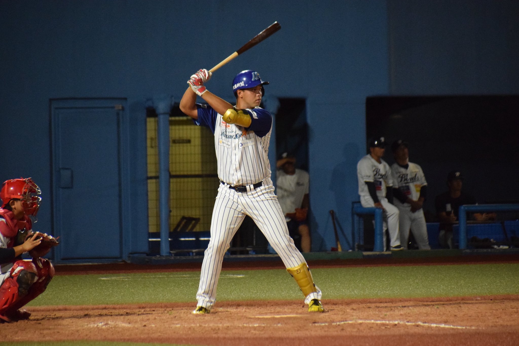 野球場大事典 𝟗/𝟏𝟑 vs 栃木GB】 🔥オープン戦を開催🔥 ￣￣Ⅴ