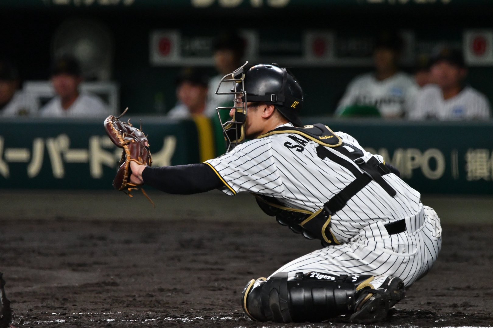 阪神タイガース ブラックユニホーム 坂本誠志郎 阪神タイガース 坂本誠志郎 ユニフォーム ビジター 黒 Mサイズ