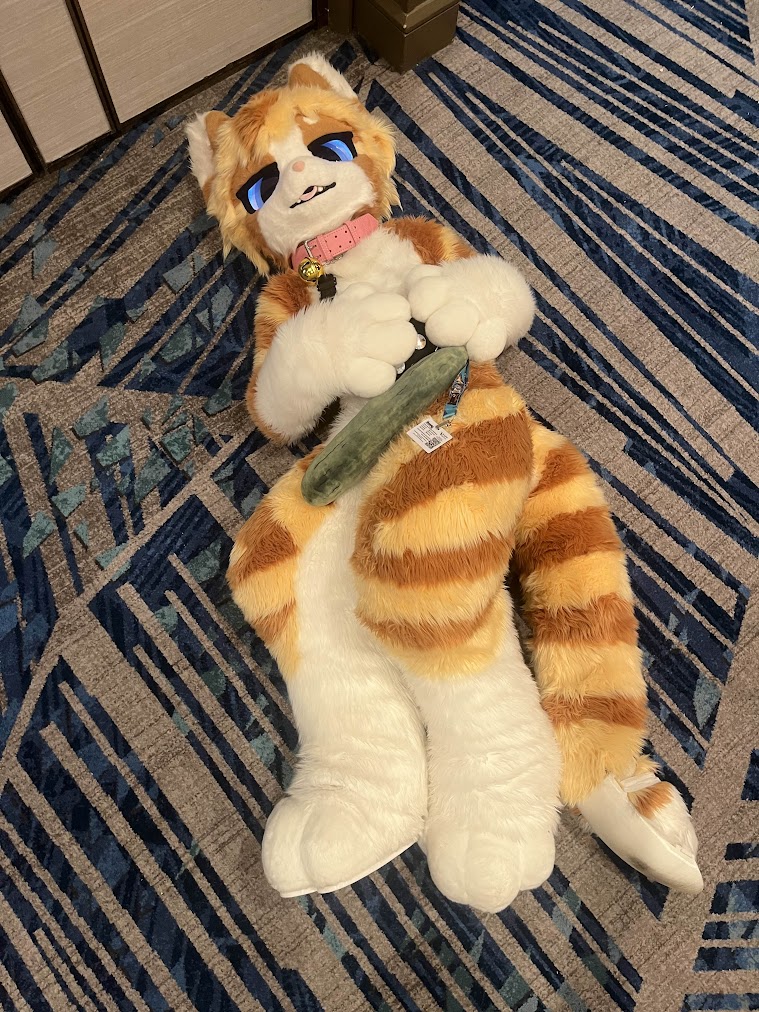 Defeated by pickle

📸: <a href="/Seaca1812/">Seaca</a>