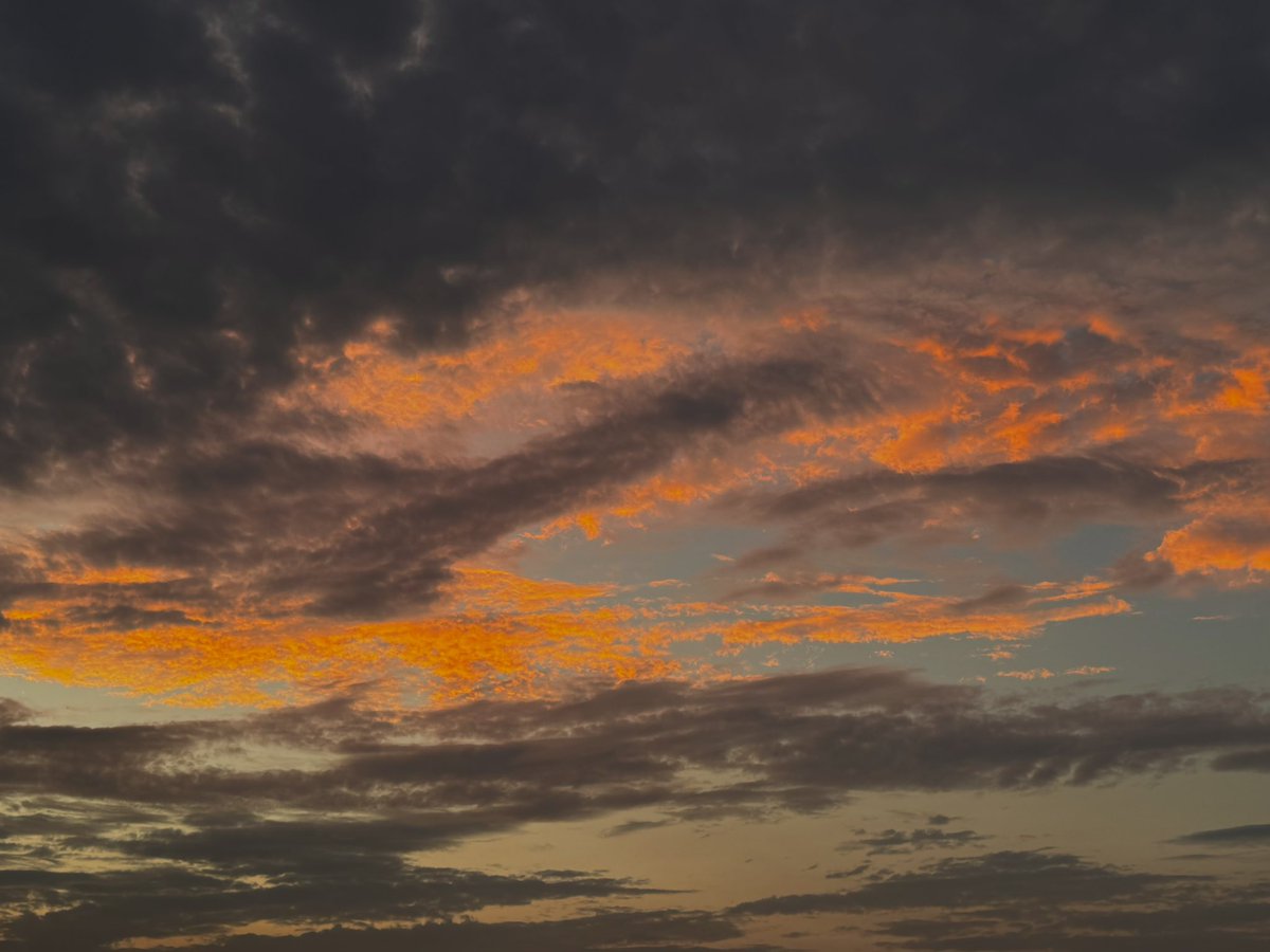 khadija_batooll's tweet image. soaking in the sunsets before the smog takes over the lahore’s skies