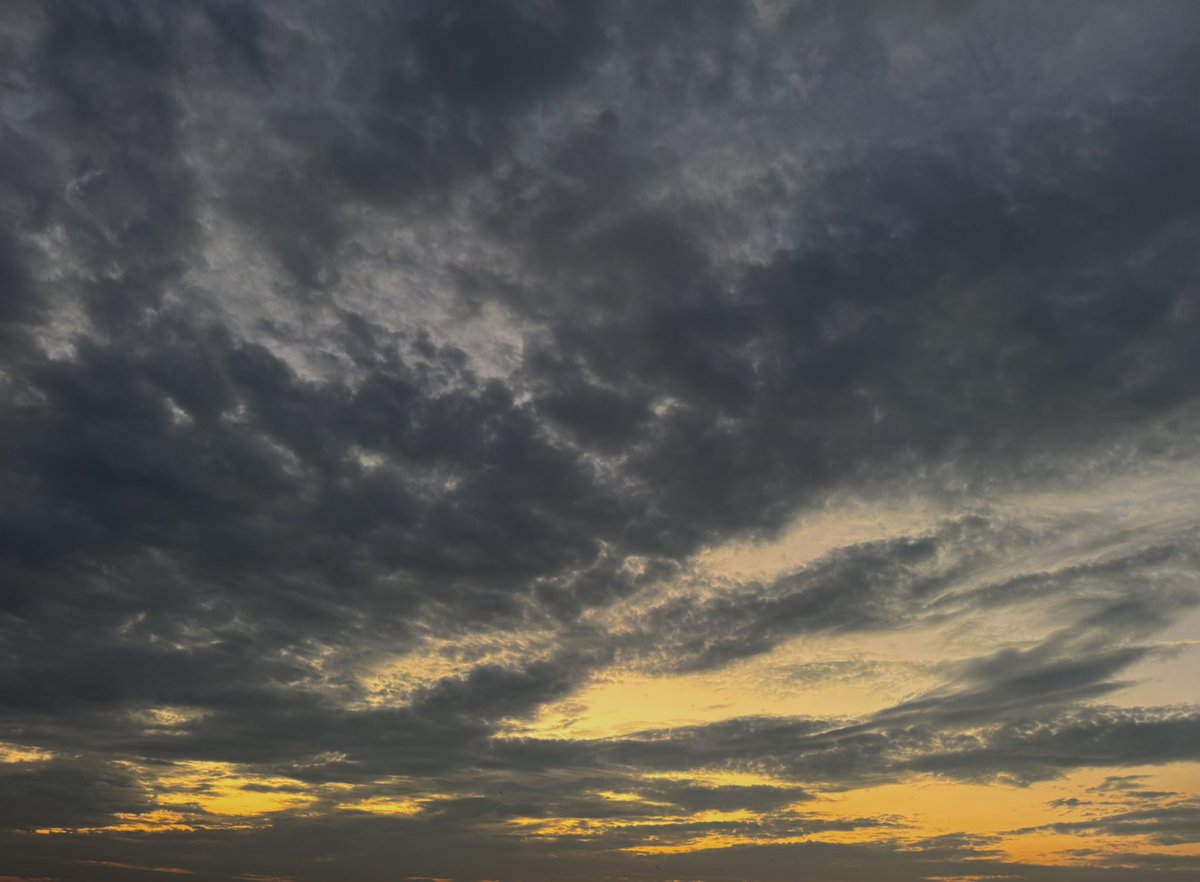 soaking in the sunsets before the smog takes over the lahore’s skies