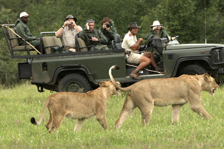 mailchi.mp/theearthorgani…