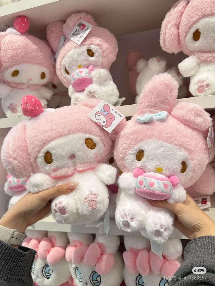 my melody plushies 💫