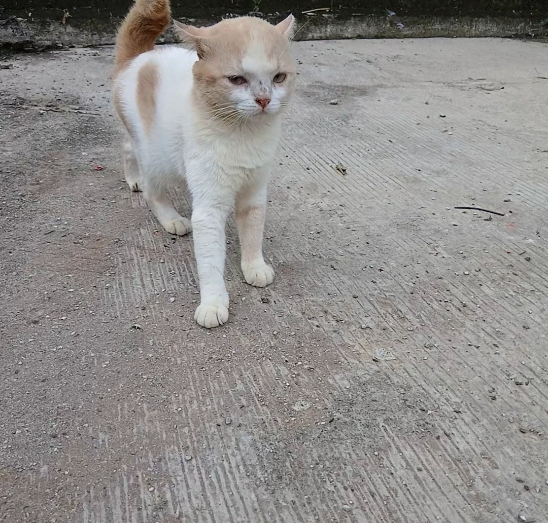 __chimichi's tweet photo. betboi gamtenk retflek https://t.co/pVNmLnXXi9