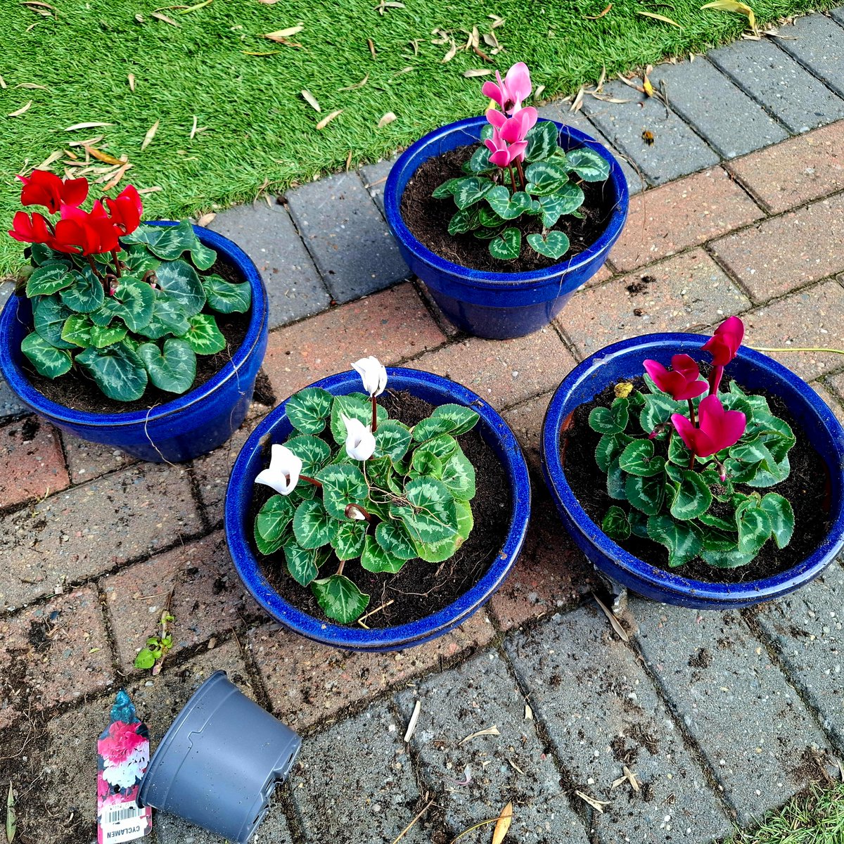 Suhana Ahmed tweet media