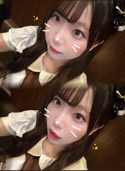 池猫 ~池袋の猫たち~のツイート