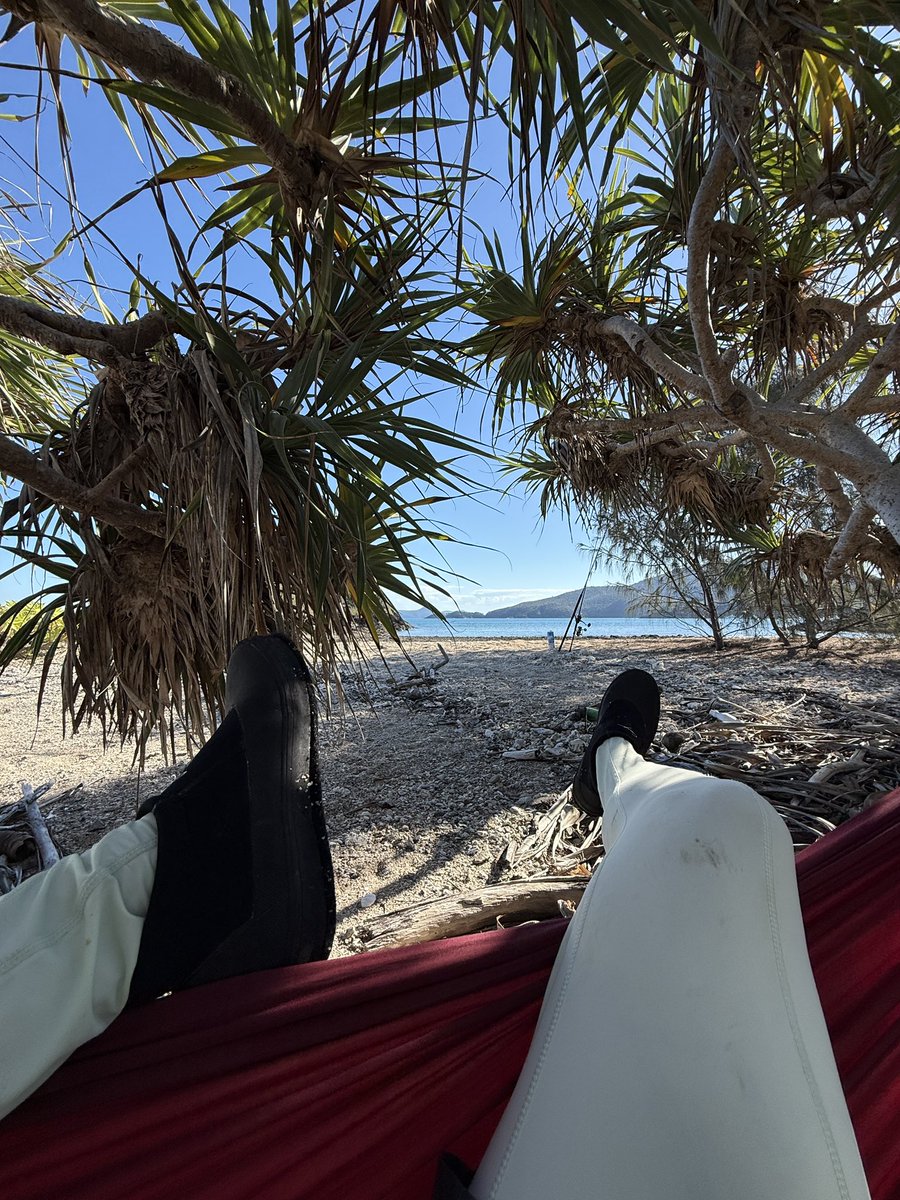 CavyFishing's tweet photo. Catch, chill and cook https://t.co/4Fk59nO6xF