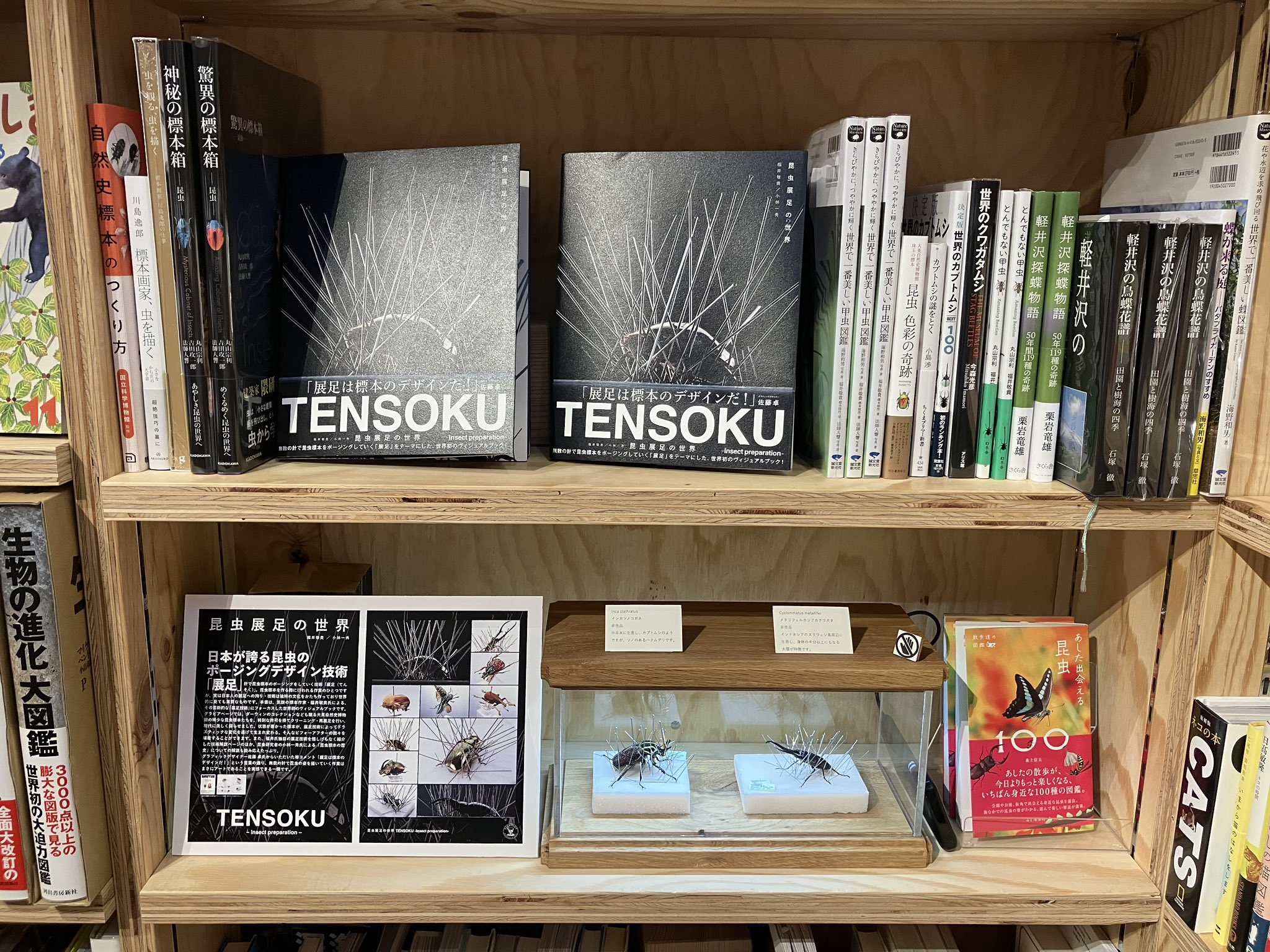 自然と文化を越えて 自然と文化を越えて (叢書人類学の転回) | フィリップ・デスコラ