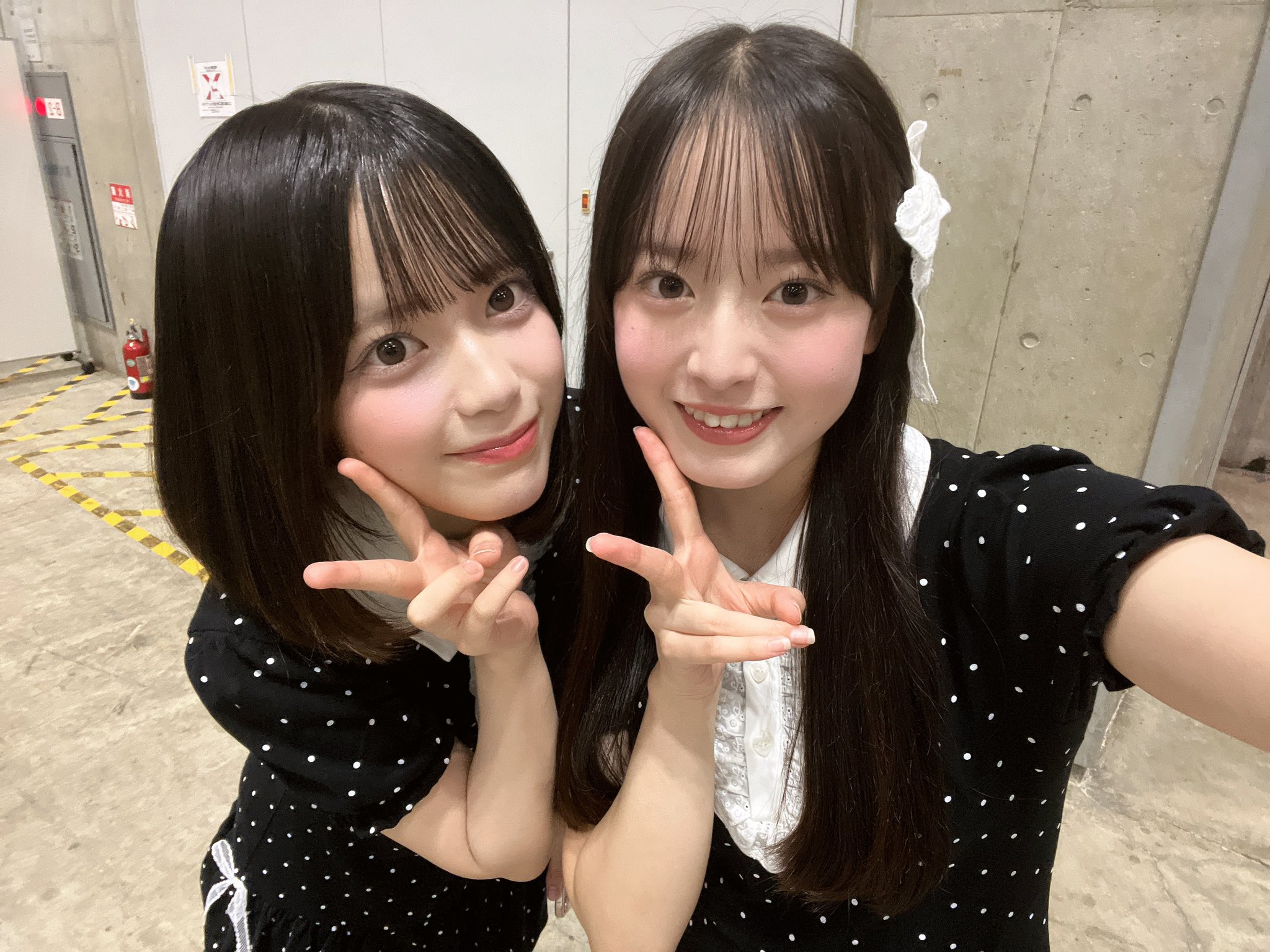 AKB.HKTまとめ売り‼️全部で30枚❗️ Amazon.co.jp: 【Amazon.co.jp・公式ショップ限定】AKBとXX! 7
