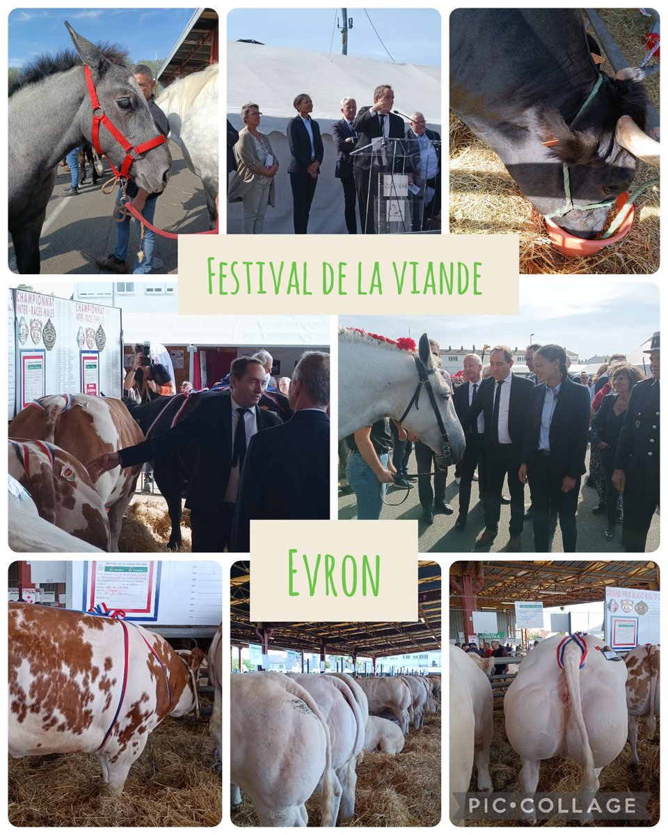 Inauguration de la 60ème édition du #festivaldelaviande à Évron. Une visite menée avec passion par le Maire @joelbalandraud, et une belle façon pour notre nouvelle <a href="/Prefet53/">Préfète de la Mayenne</a> <a href="/NadegeBaptista/">Nadège Baptista</a> de découvrir les <a href="/lescoevrons/">Les Coëvrons</a>.