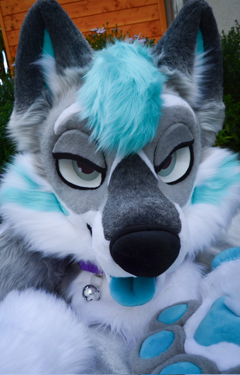 Premade fursuit is finished! 🐶🩵