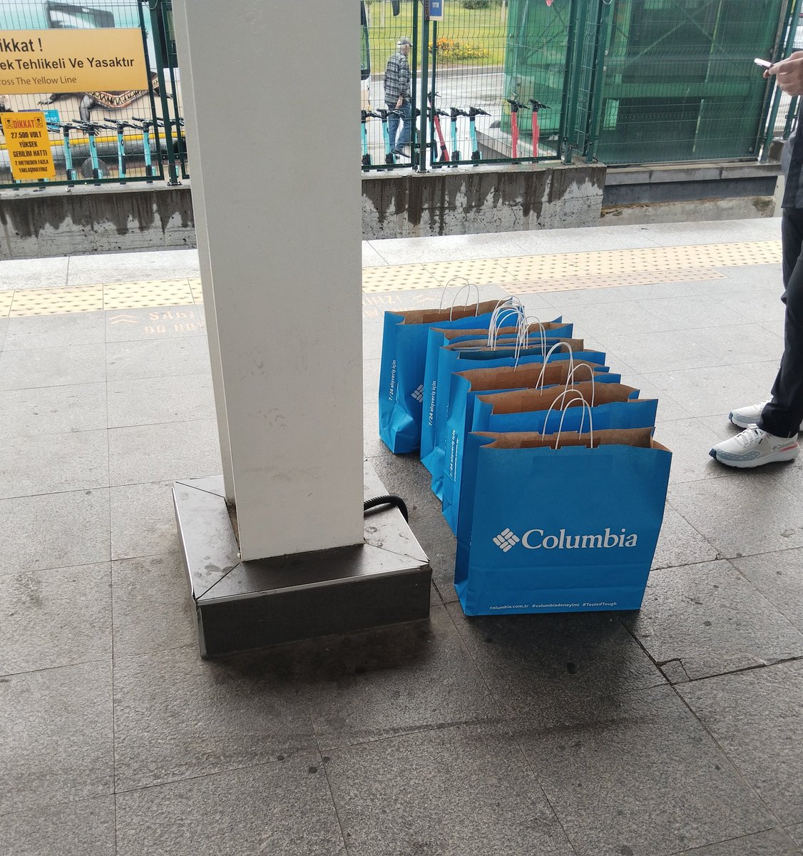 akademisyen larvaları yeni dönem icin kozalarından çıkıyor