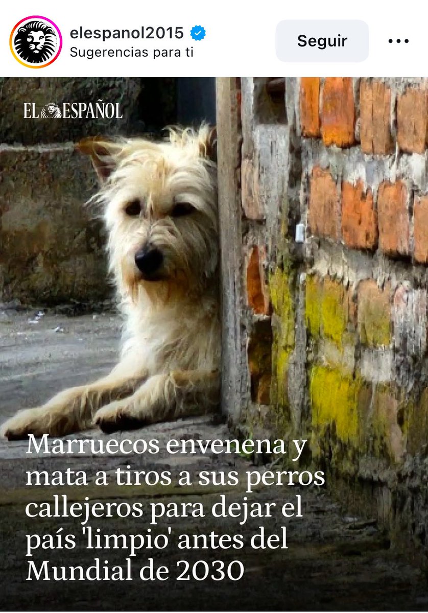 🔱⚜️🔰Predator🔰⚜️🔱 tweet media