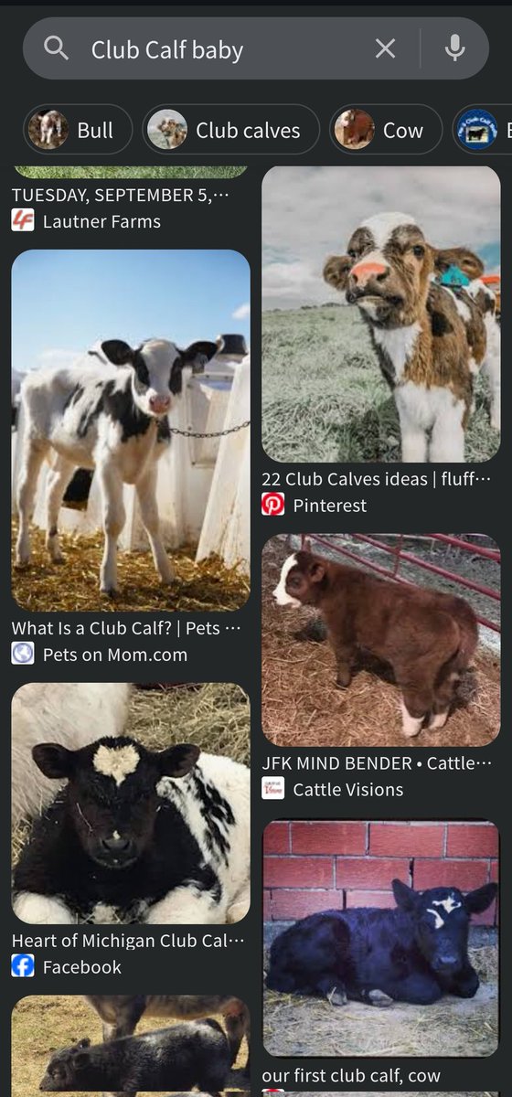 Club Calf」に「baby」を追加して検索すると更に幸せになれます