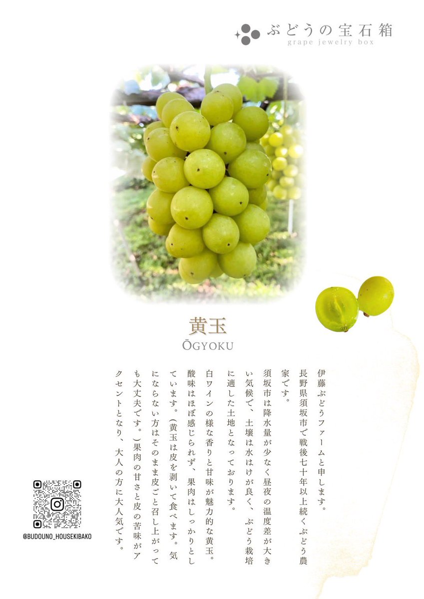 2100housekibako's tweet image. 2025年初物『ピオーネ』❌『黄玉』が新登場‼️

第348回プレゼントキャンペーンをＸ＆Instagramで同時開催します⭐️

🍇応募方法🍇
フォロー＆
このポストをリポスト
〆切は７日
日曜日２４時まで

初物 
【ピオーネ❌黄玉 粒　１ｋｇ 】

さらに今シーズン何回でも使える
【特別割引チケット】入り🎫…