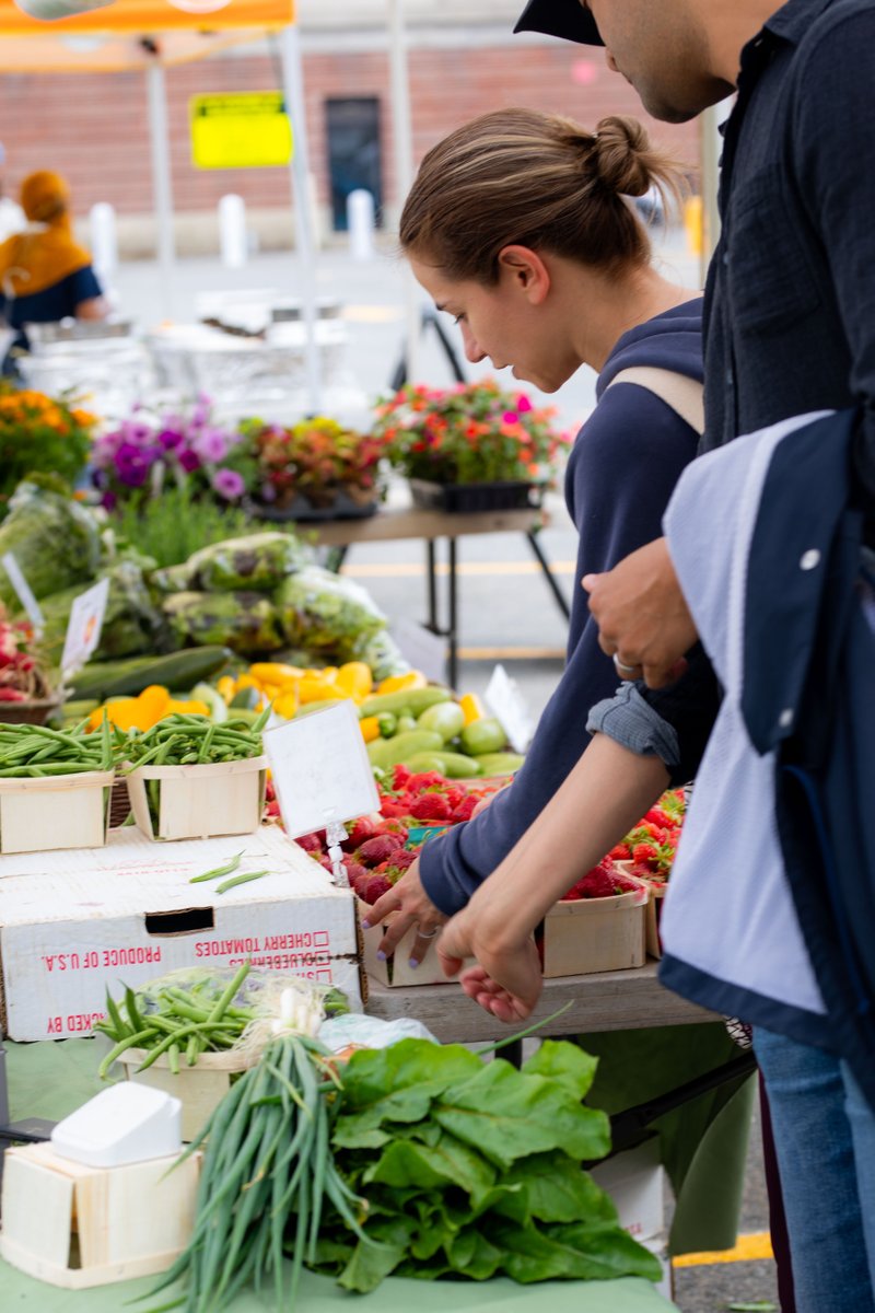 Port of Boston tweet media