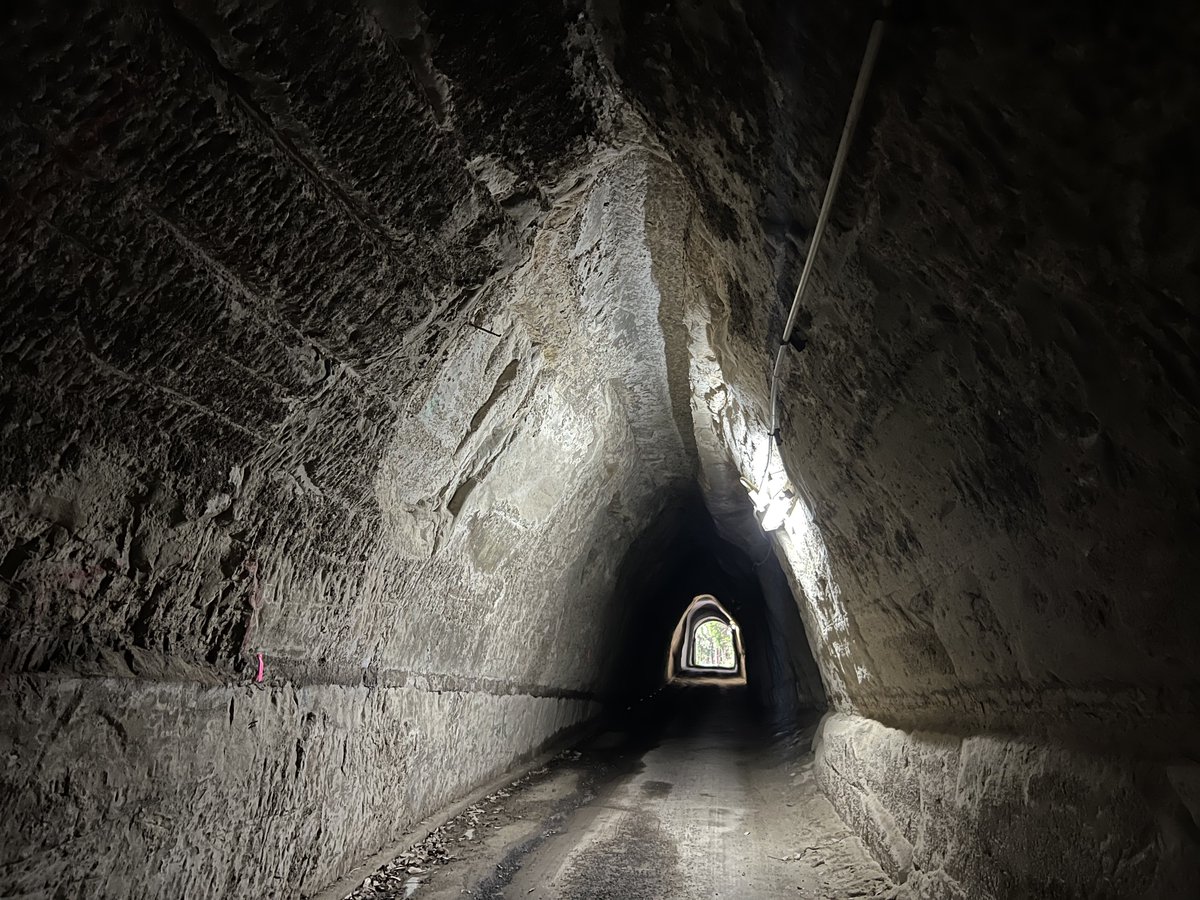 たろいも (@musicstd) / X