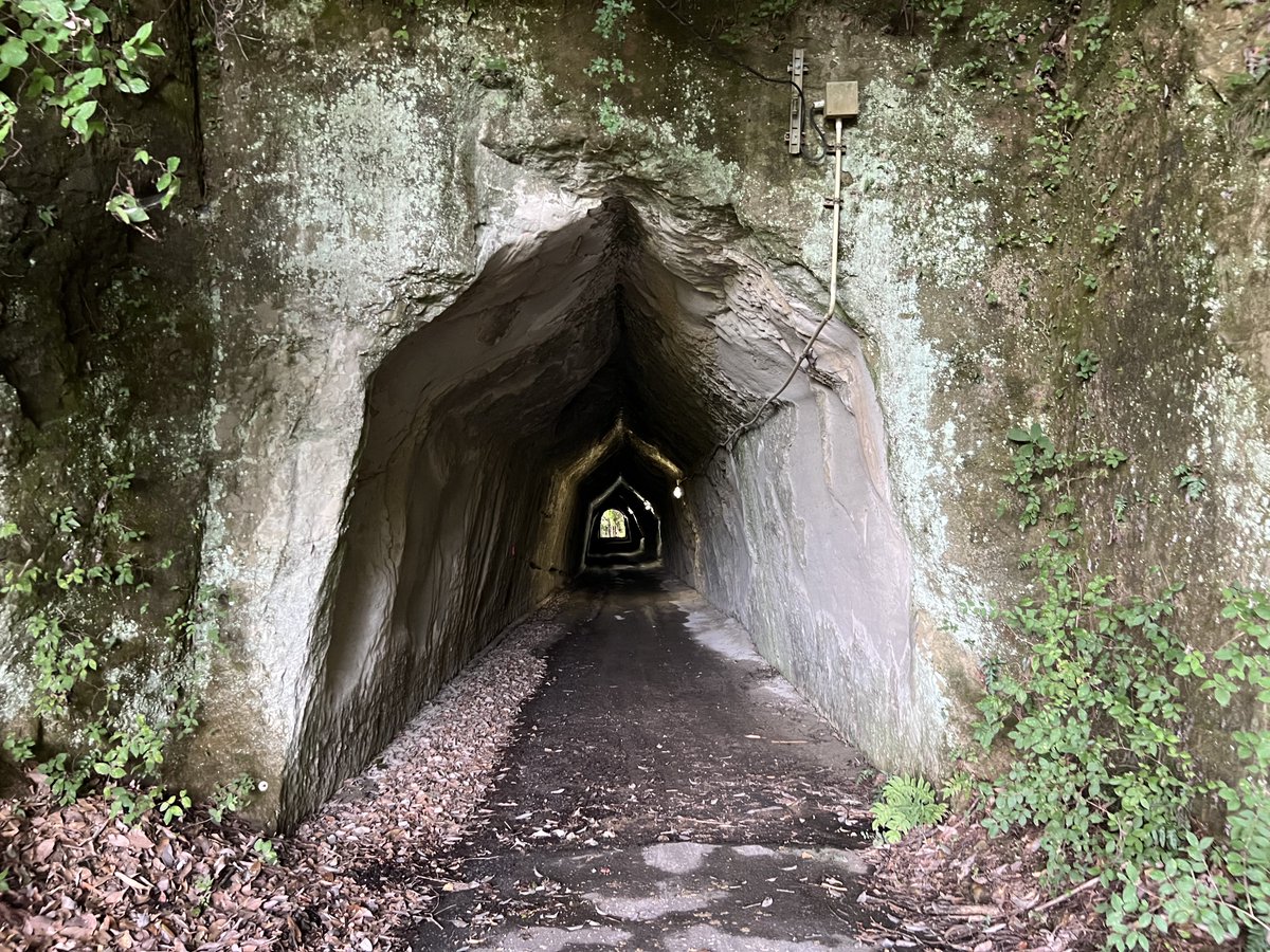 たろいも (@musicstd) / X