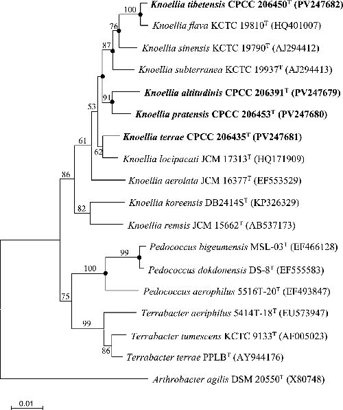 MicrobioSoc's tweet image. Knoellia altitudinis sp. nov., Knoellia pratensis sp. nov., Knoellia terrae sp. nov. and Knoellia tibetensis sp. nov., four novel UV radiation-resistant actinobacteria isolated from Tibet Autonomous Region, China. Published in IJSEM: doi.org/10.1099/ijsem.… #IJSEM