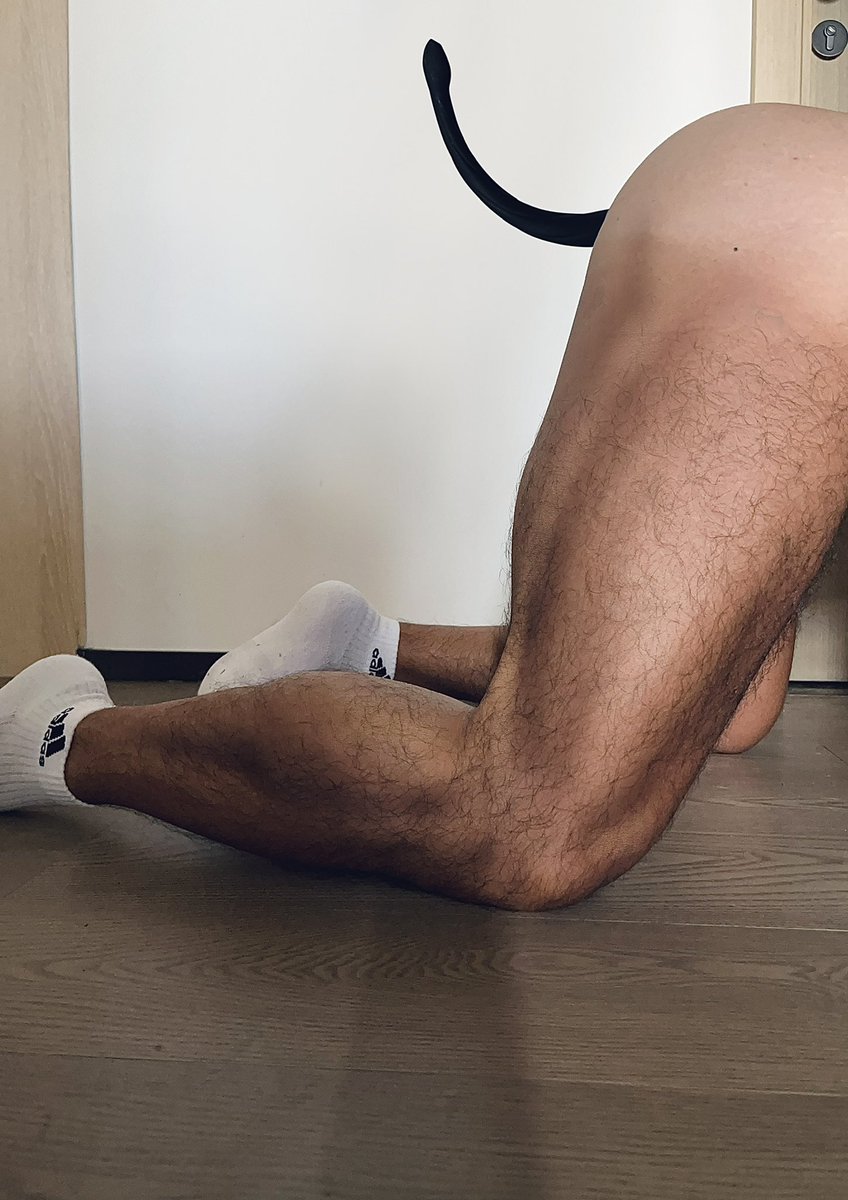 元气精牛 tweet media