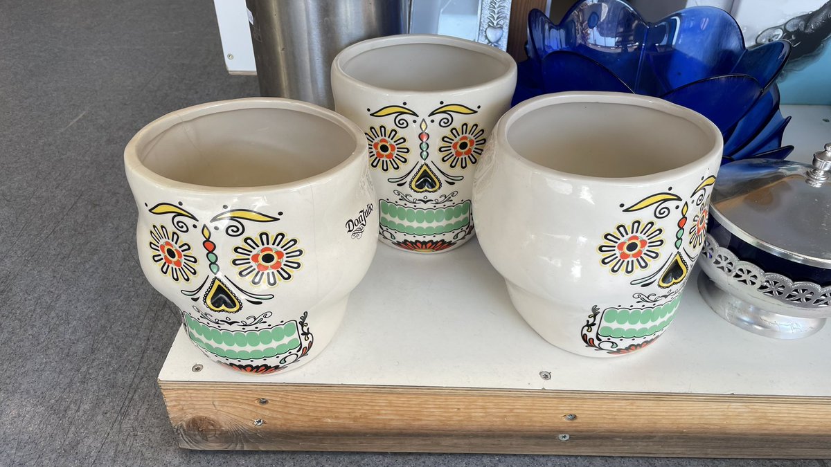 Нужны ли мне цветочные горшки черепа…. 🤔